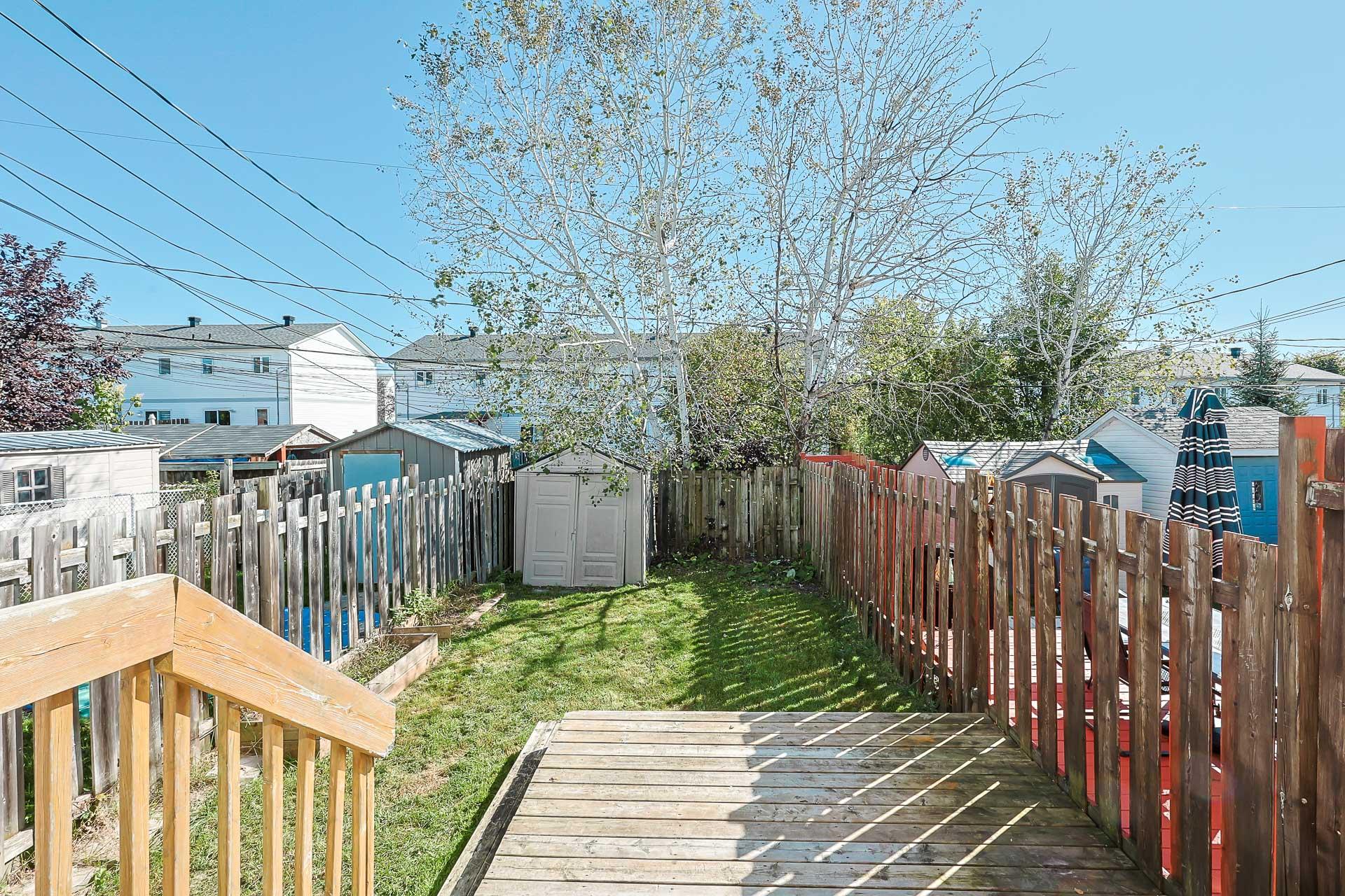Backyard