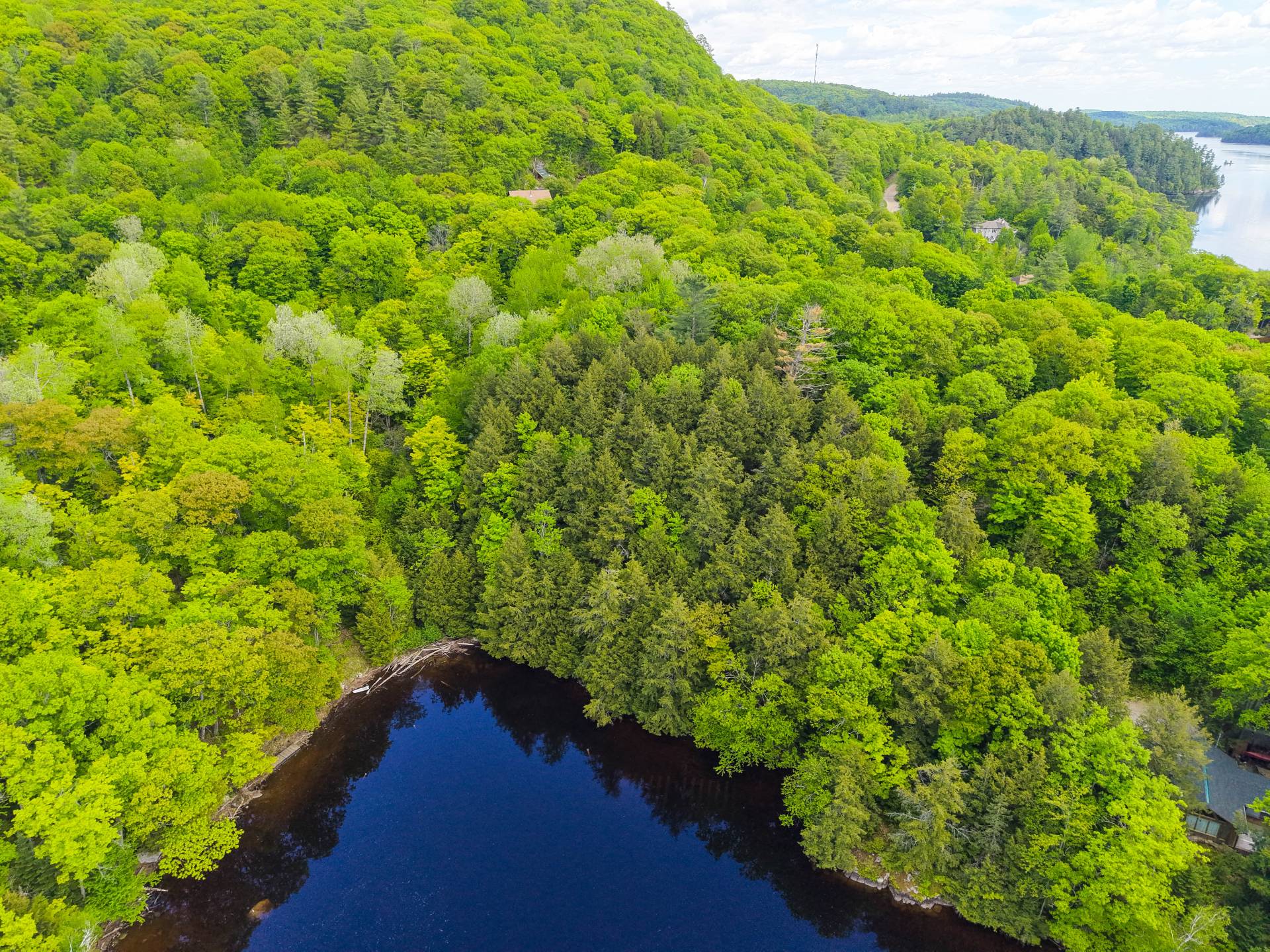 Aerial photo