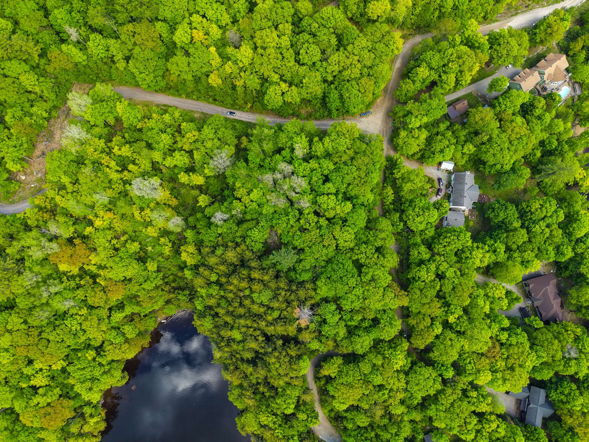 Aerial photo