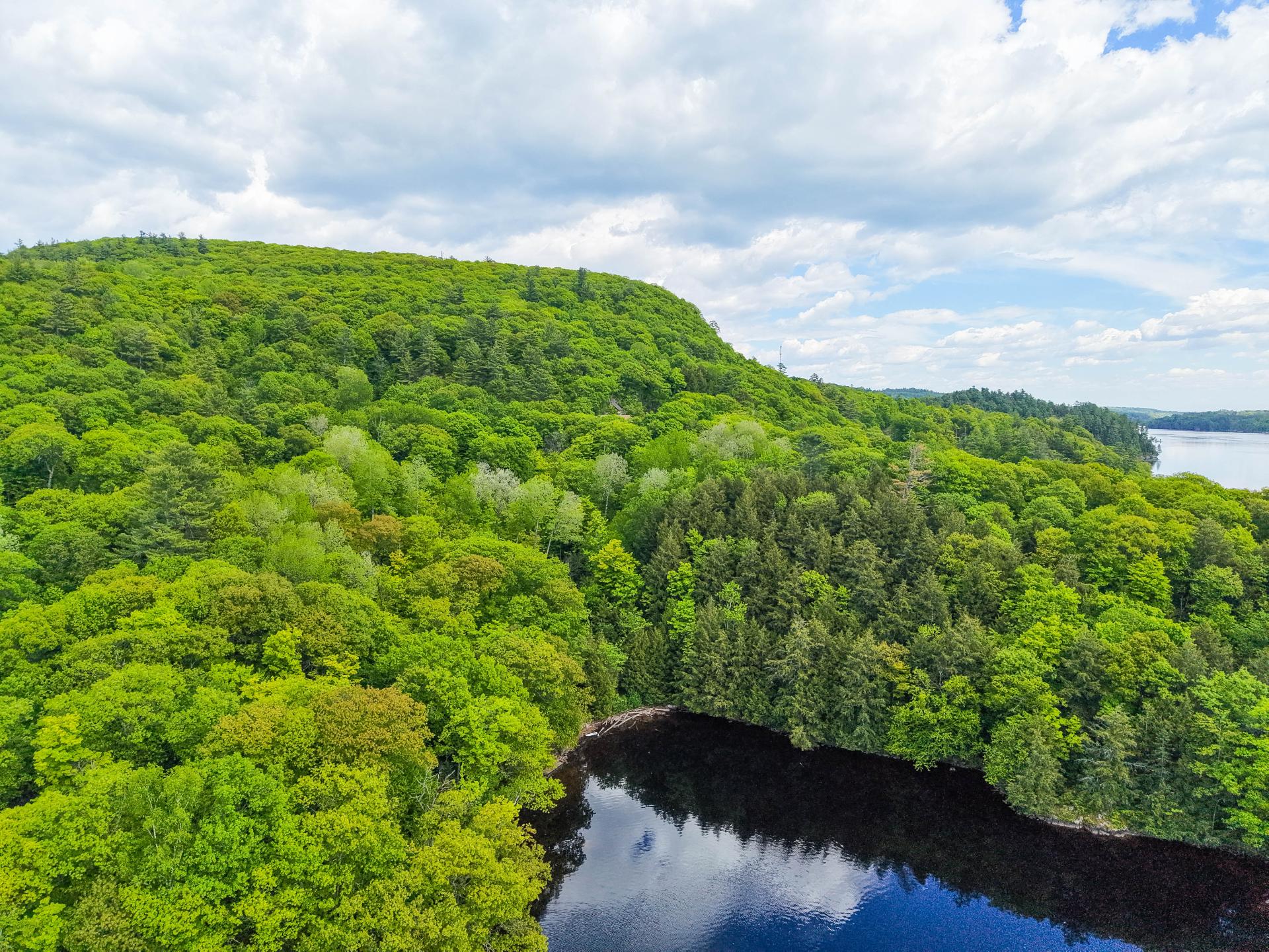 Aerial photo