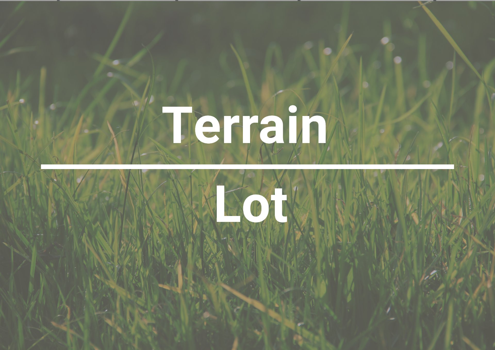 Terre/Terrain