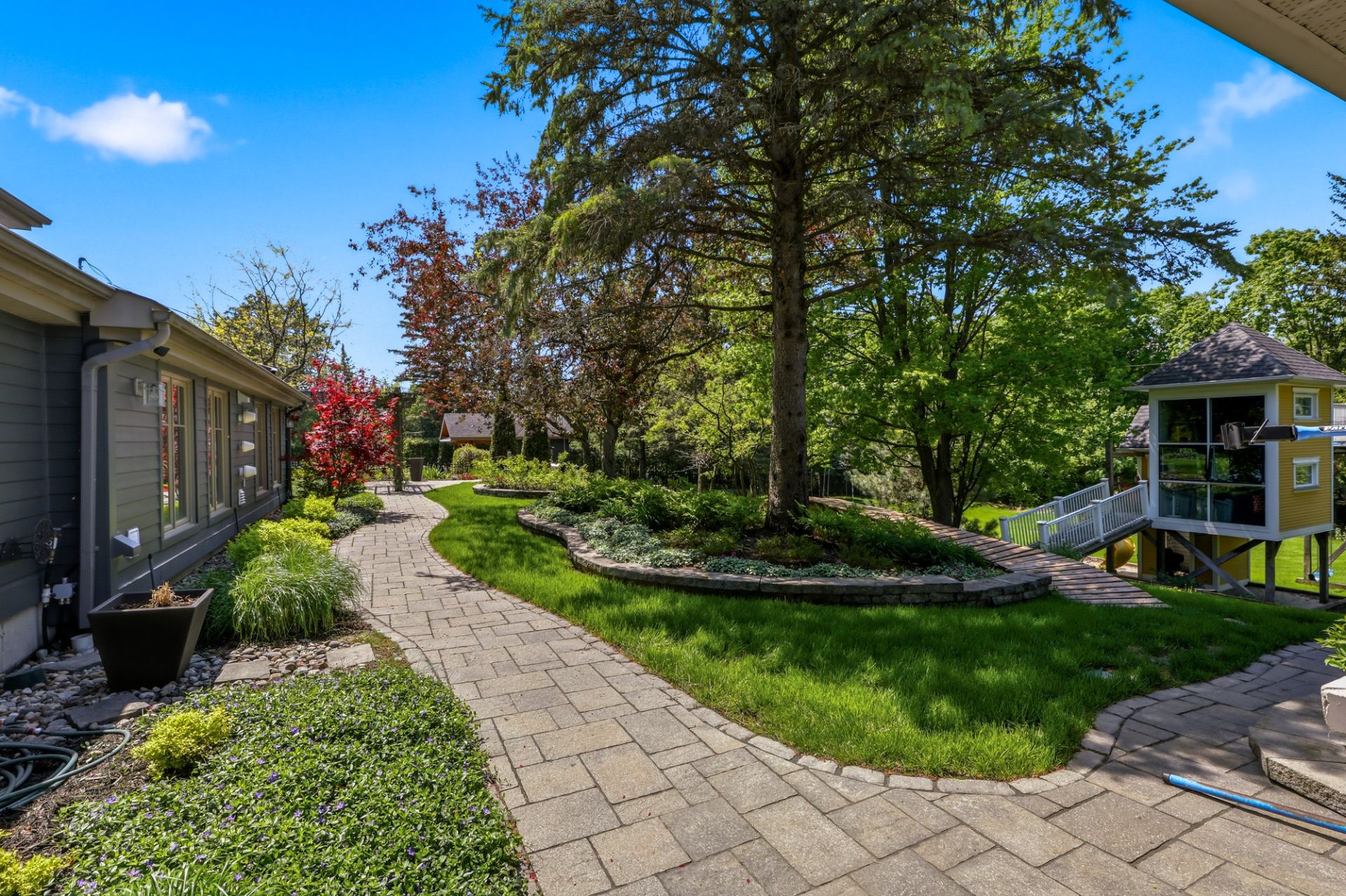 Backyard