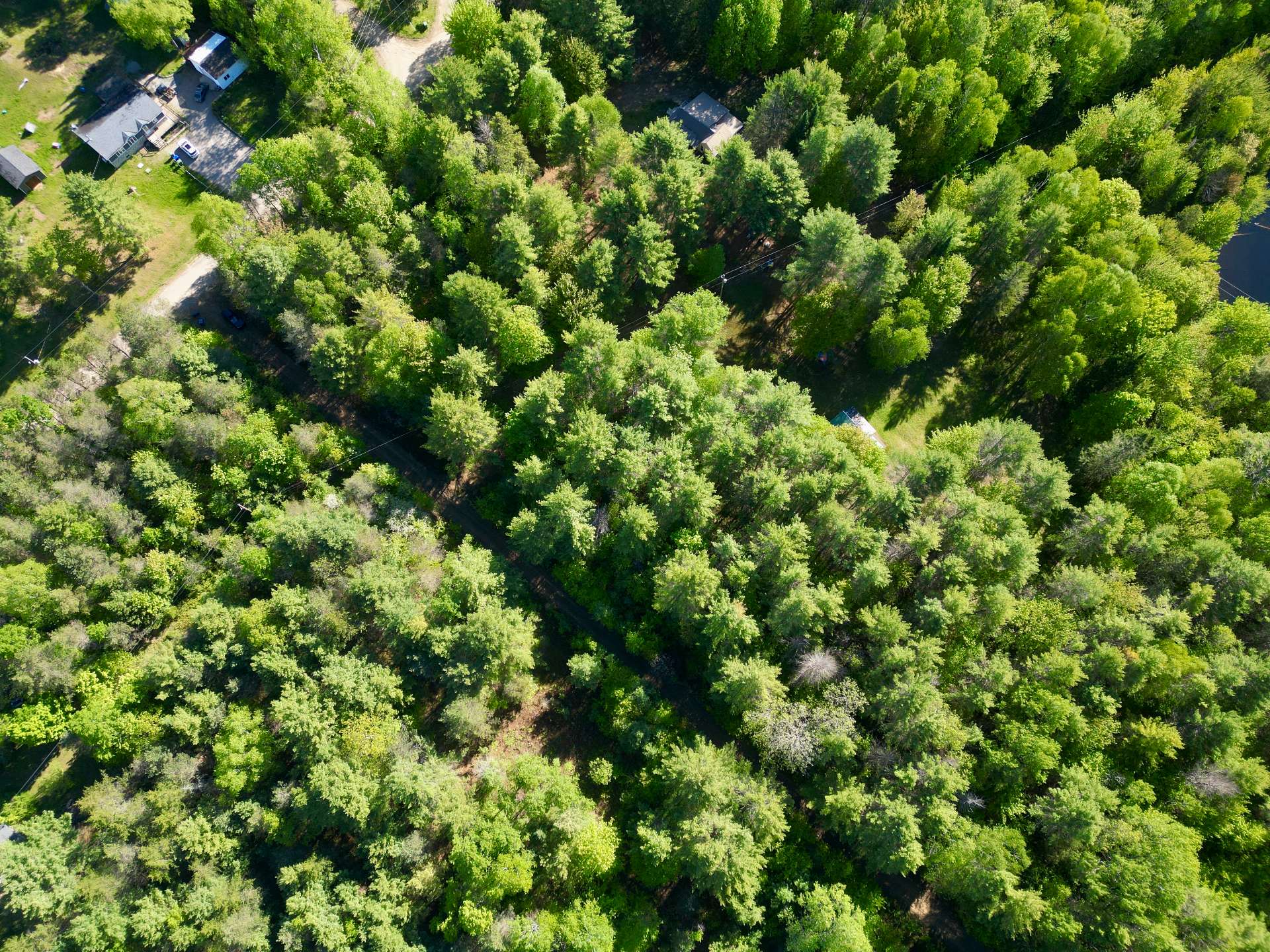 Aerial photo