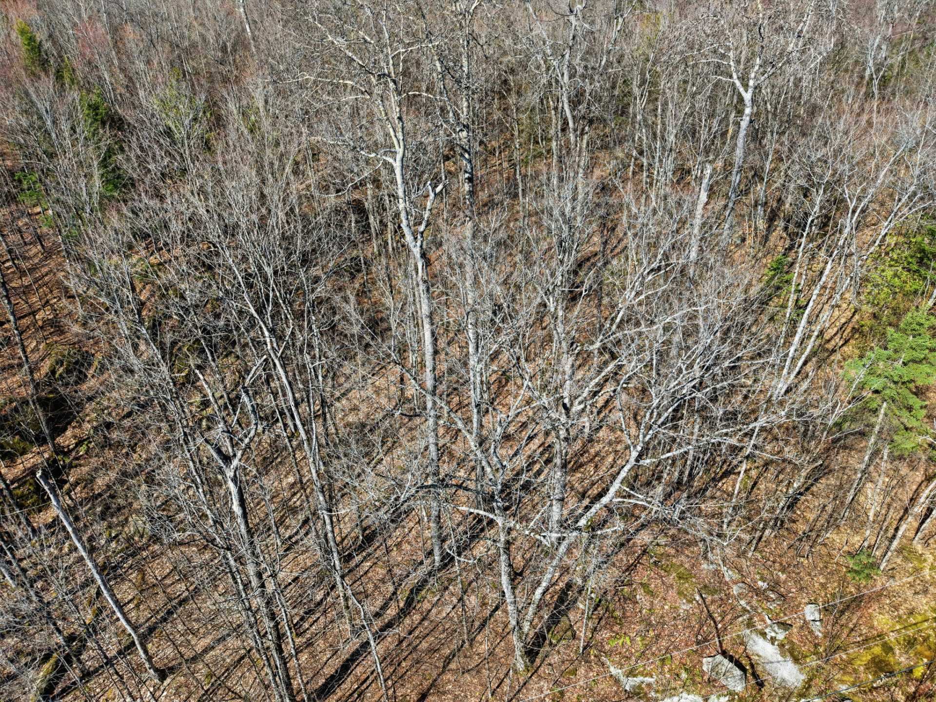 Land/Lot