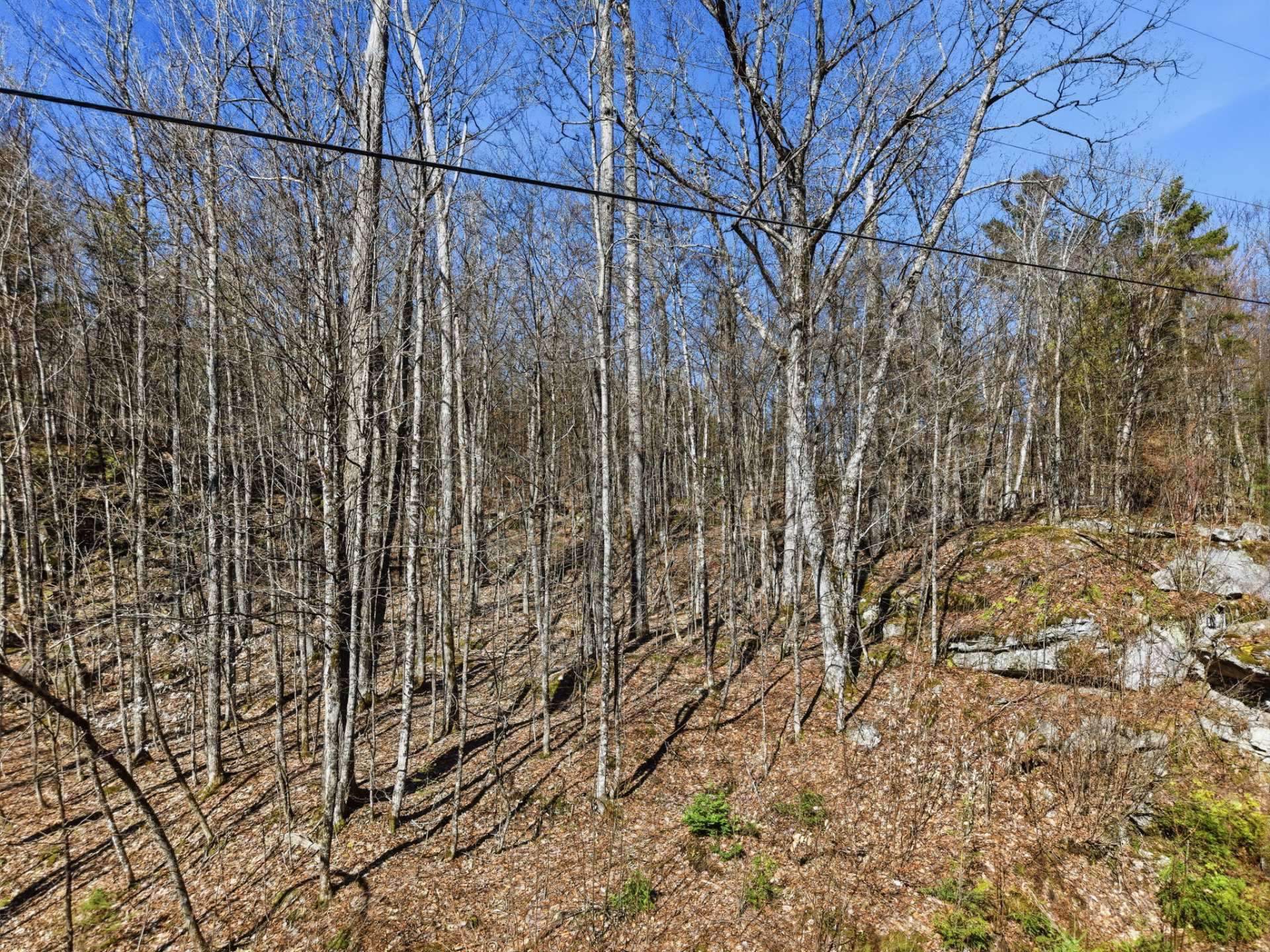 Land/Lot