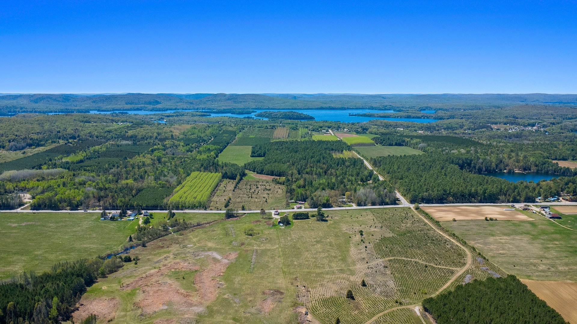 Land/Lot
