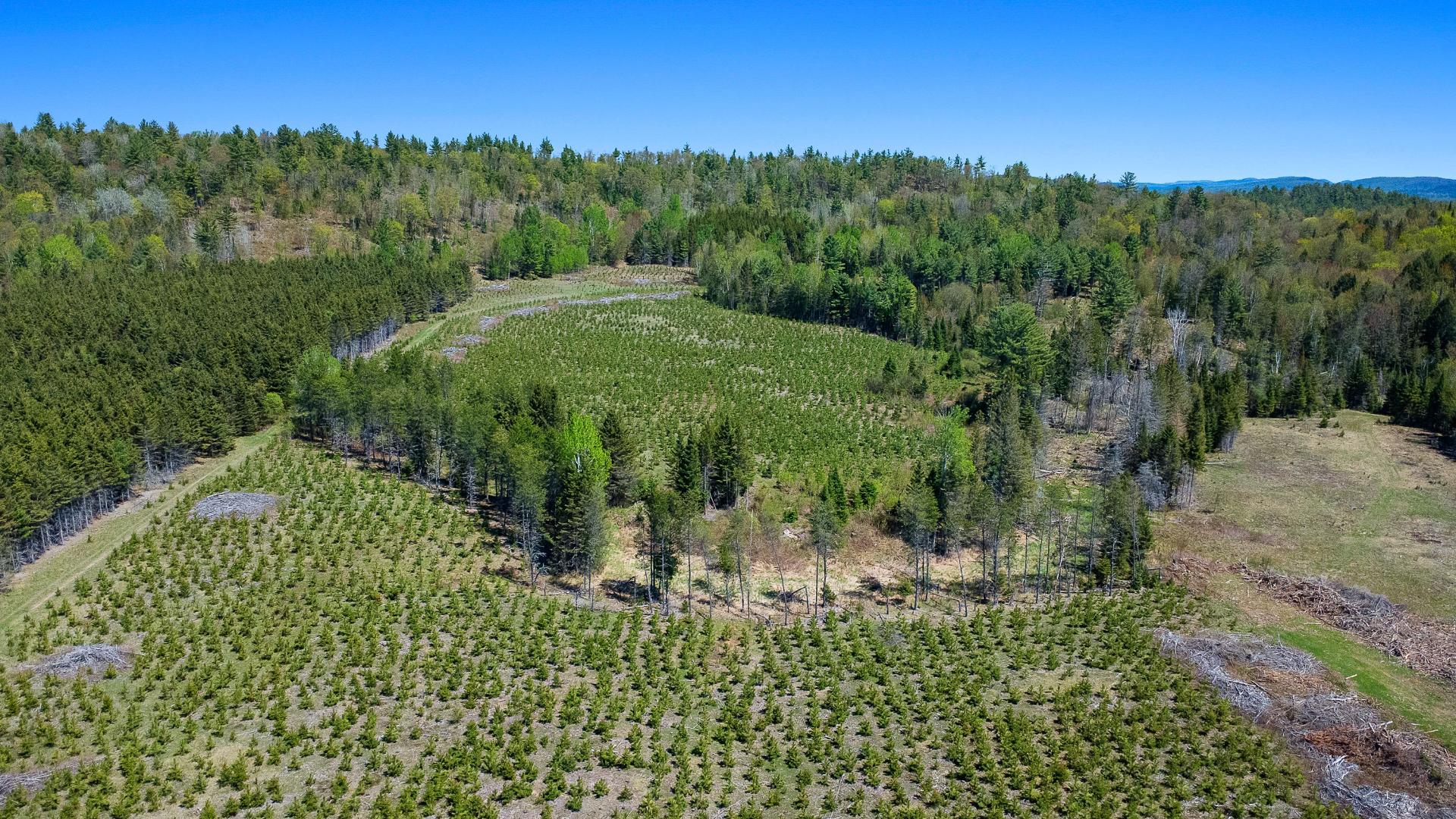 Land/Lot