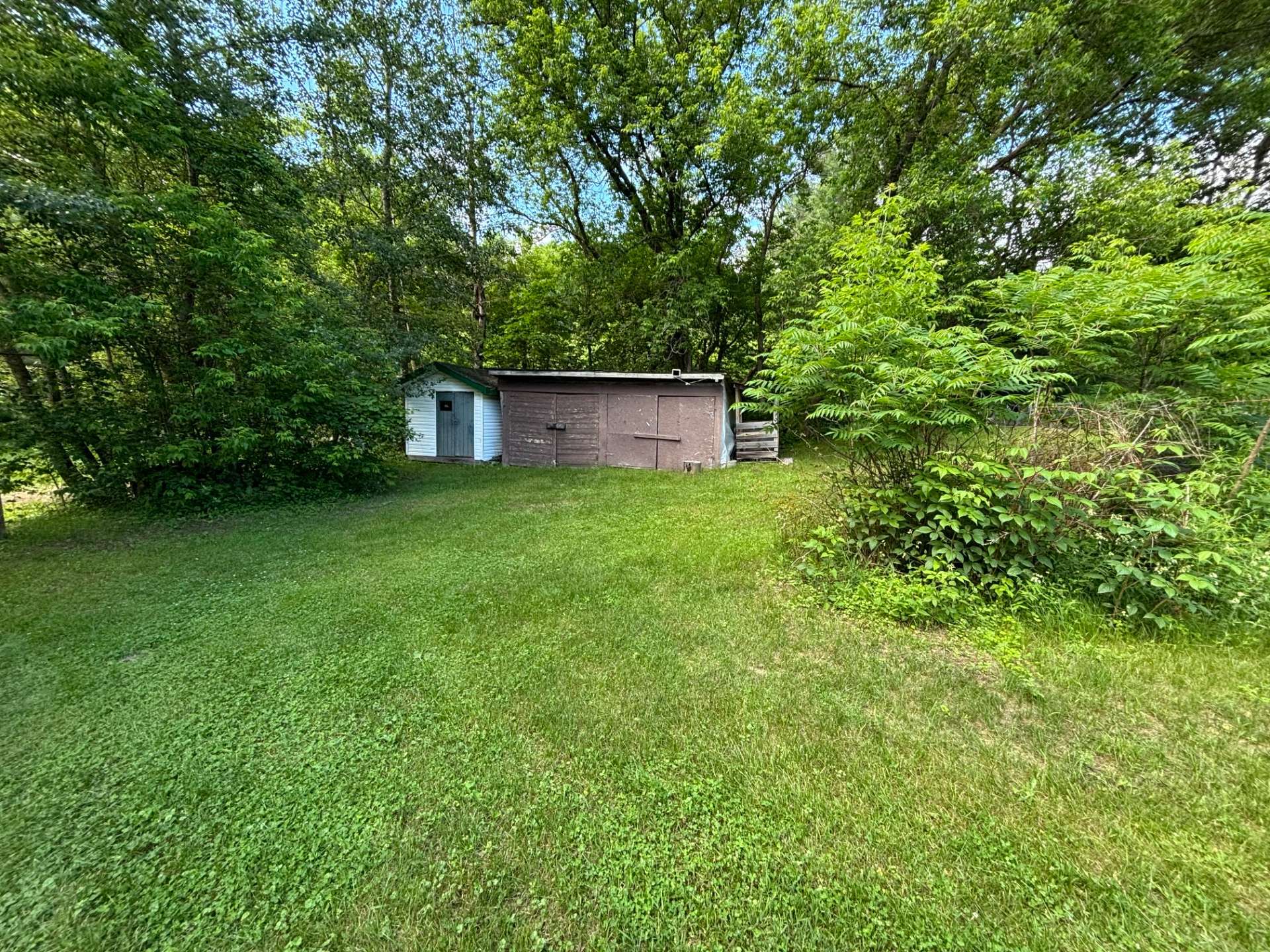 Shed