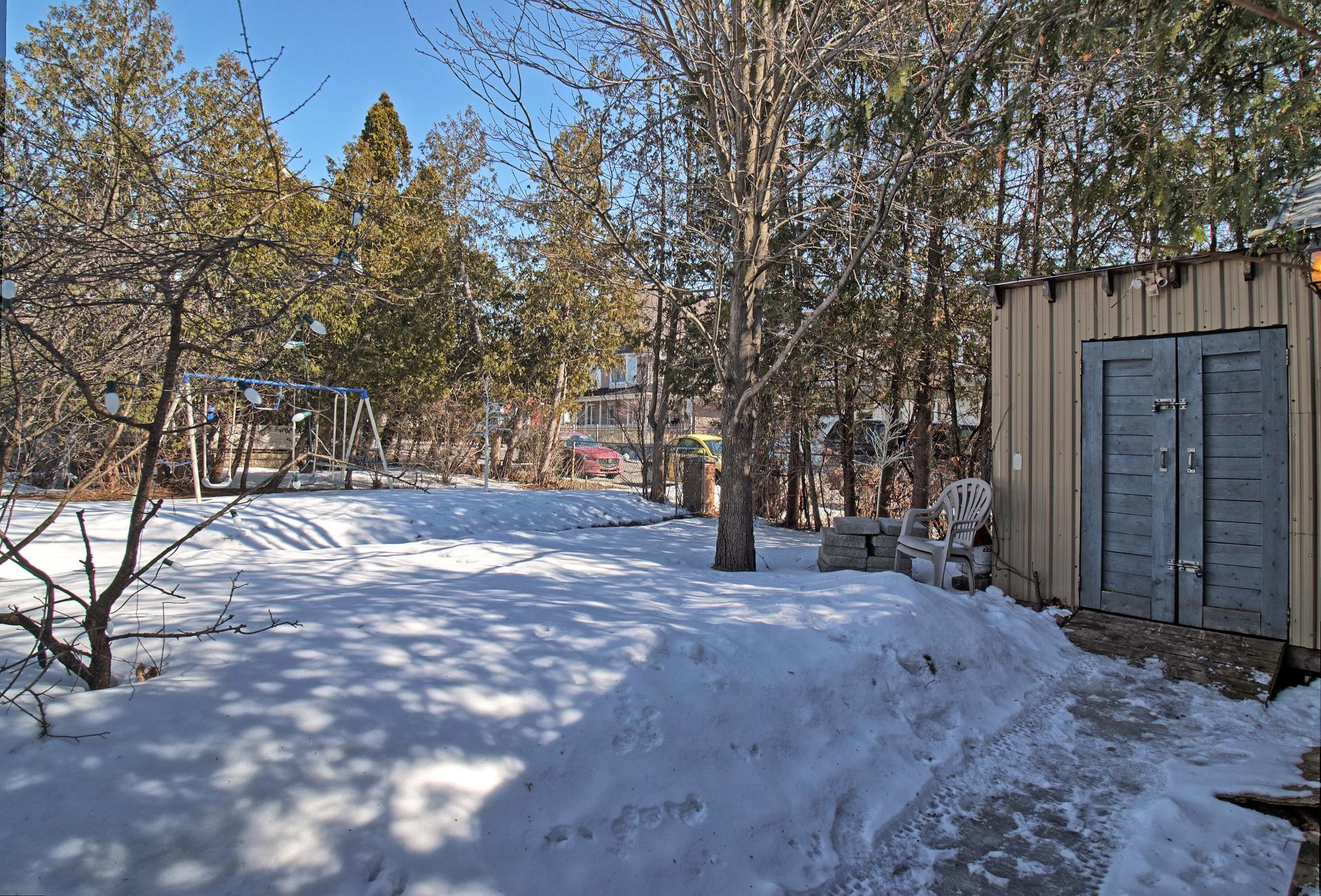 Backyard