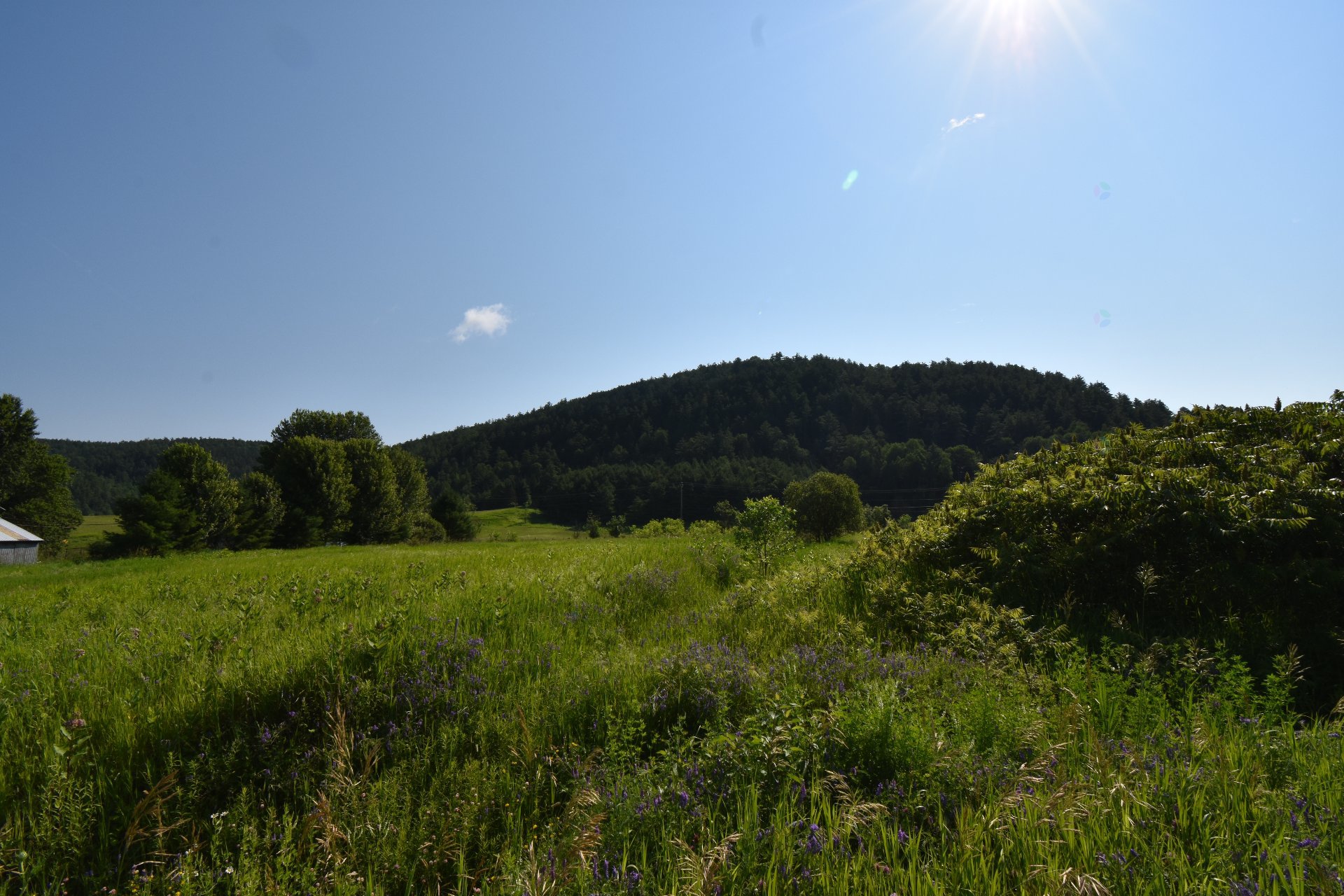 Land/Lot