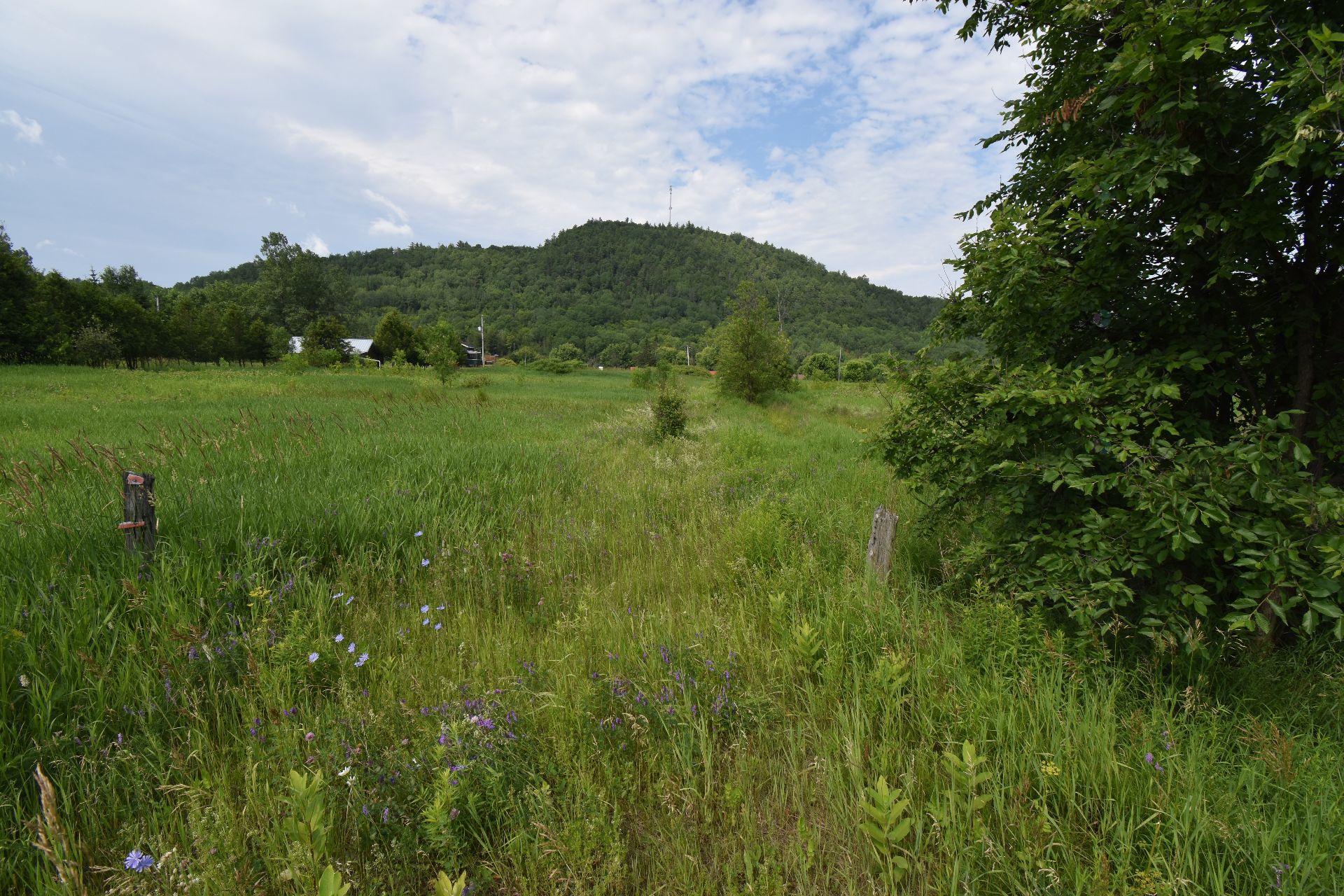 Land/Lot