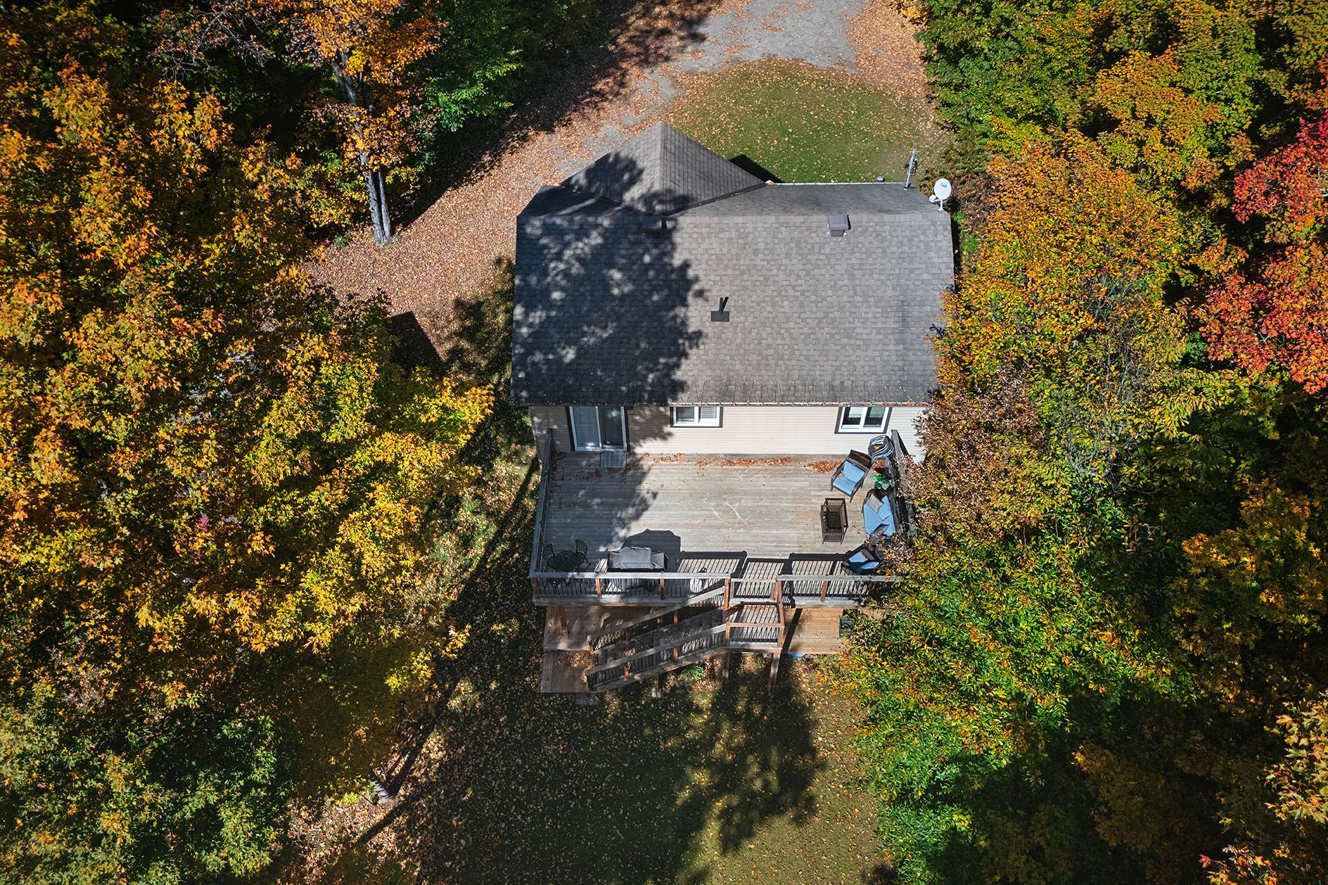 Overall view