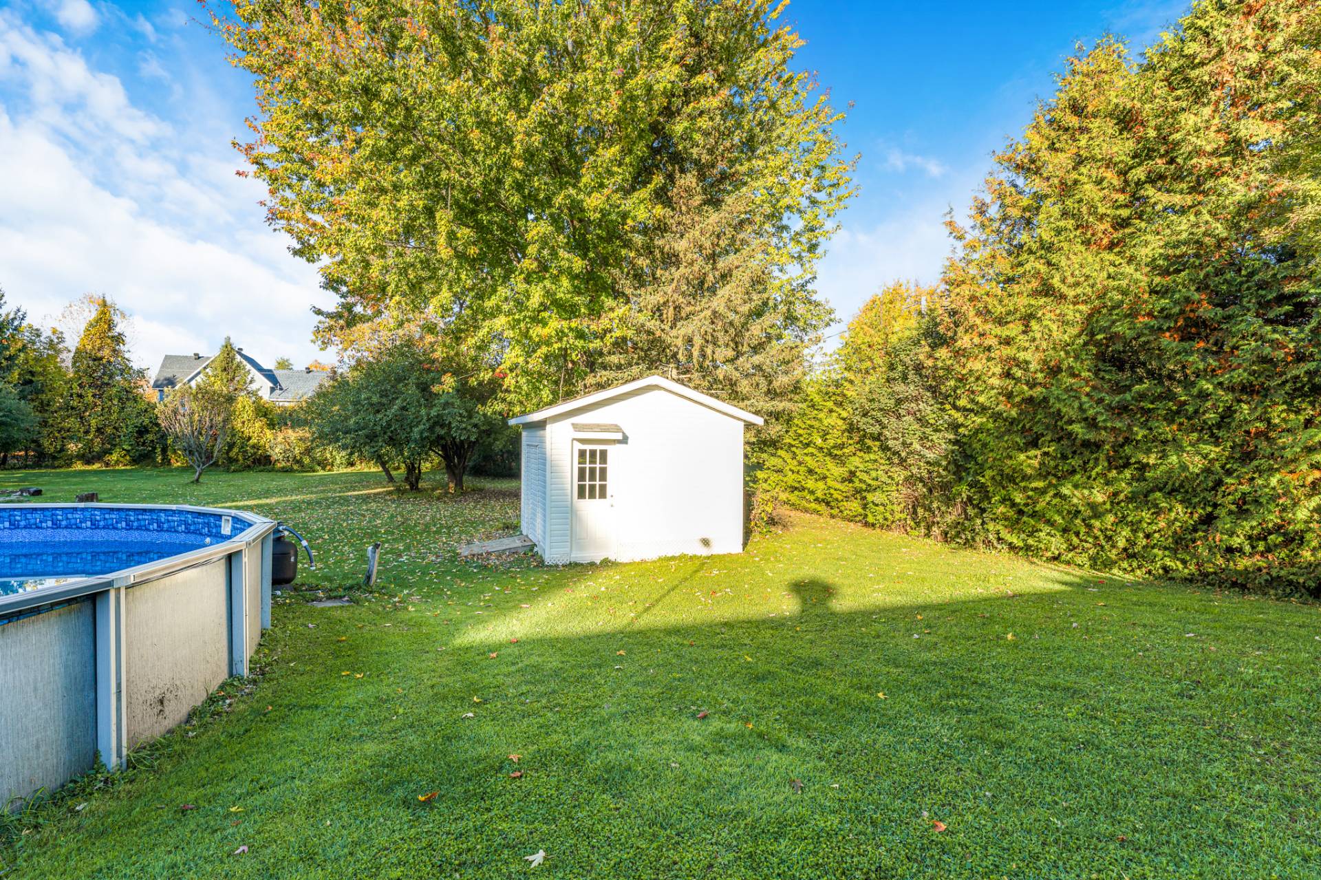 Shed