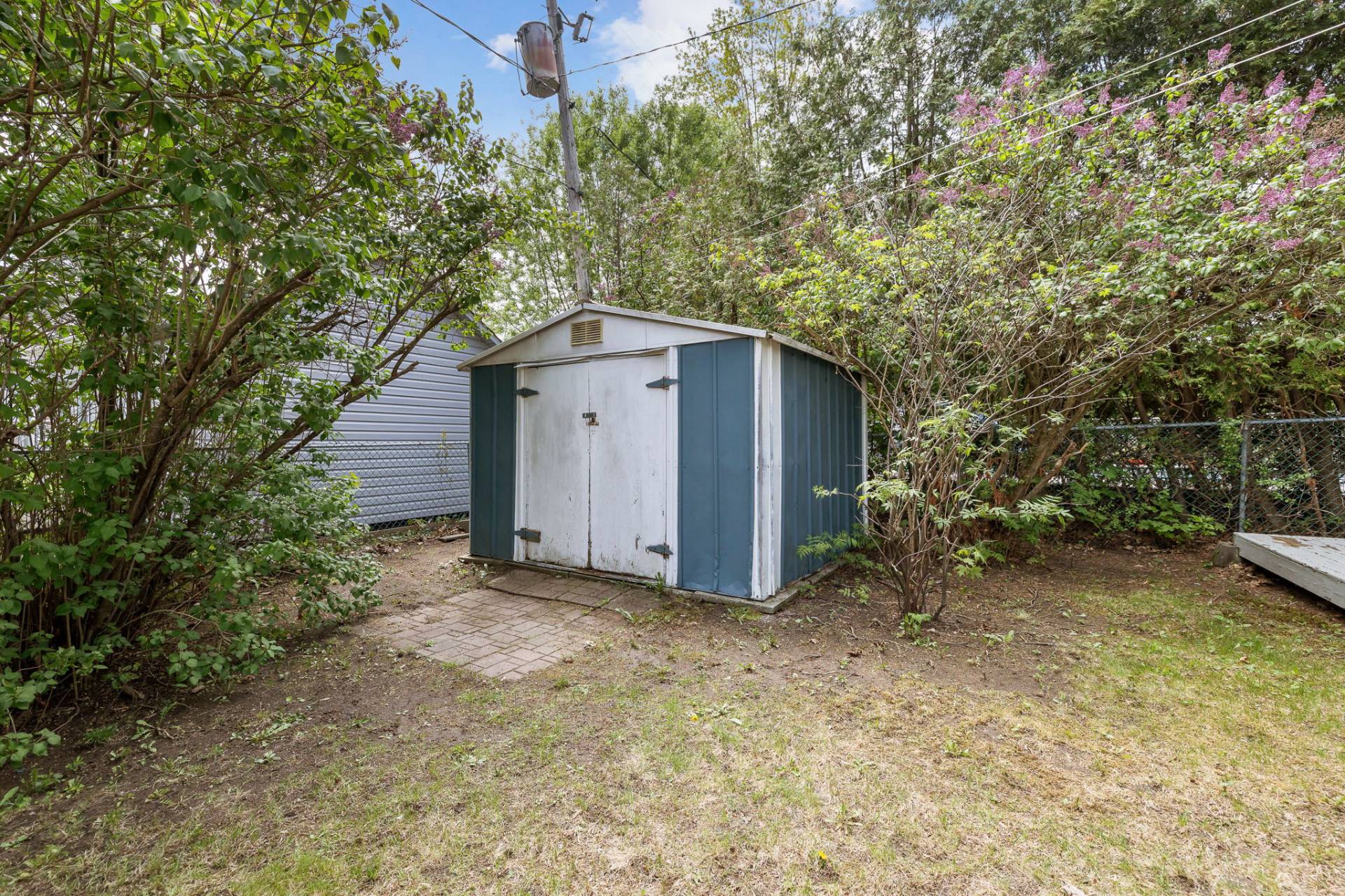 Shed