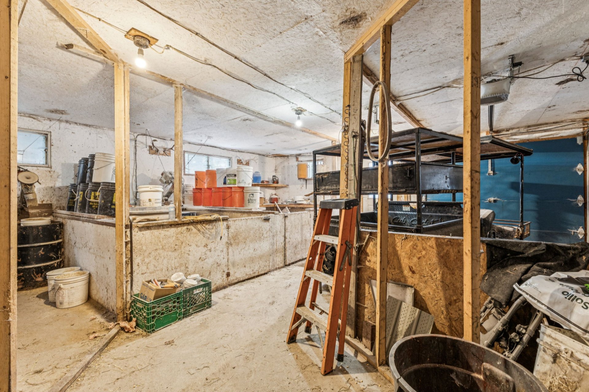 Workshop