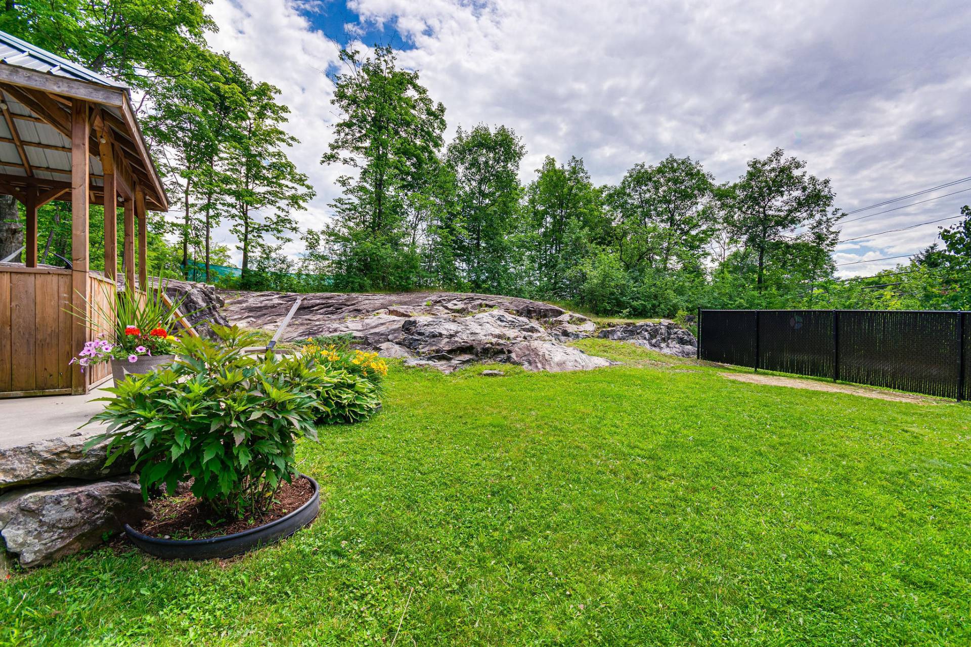 Backyard