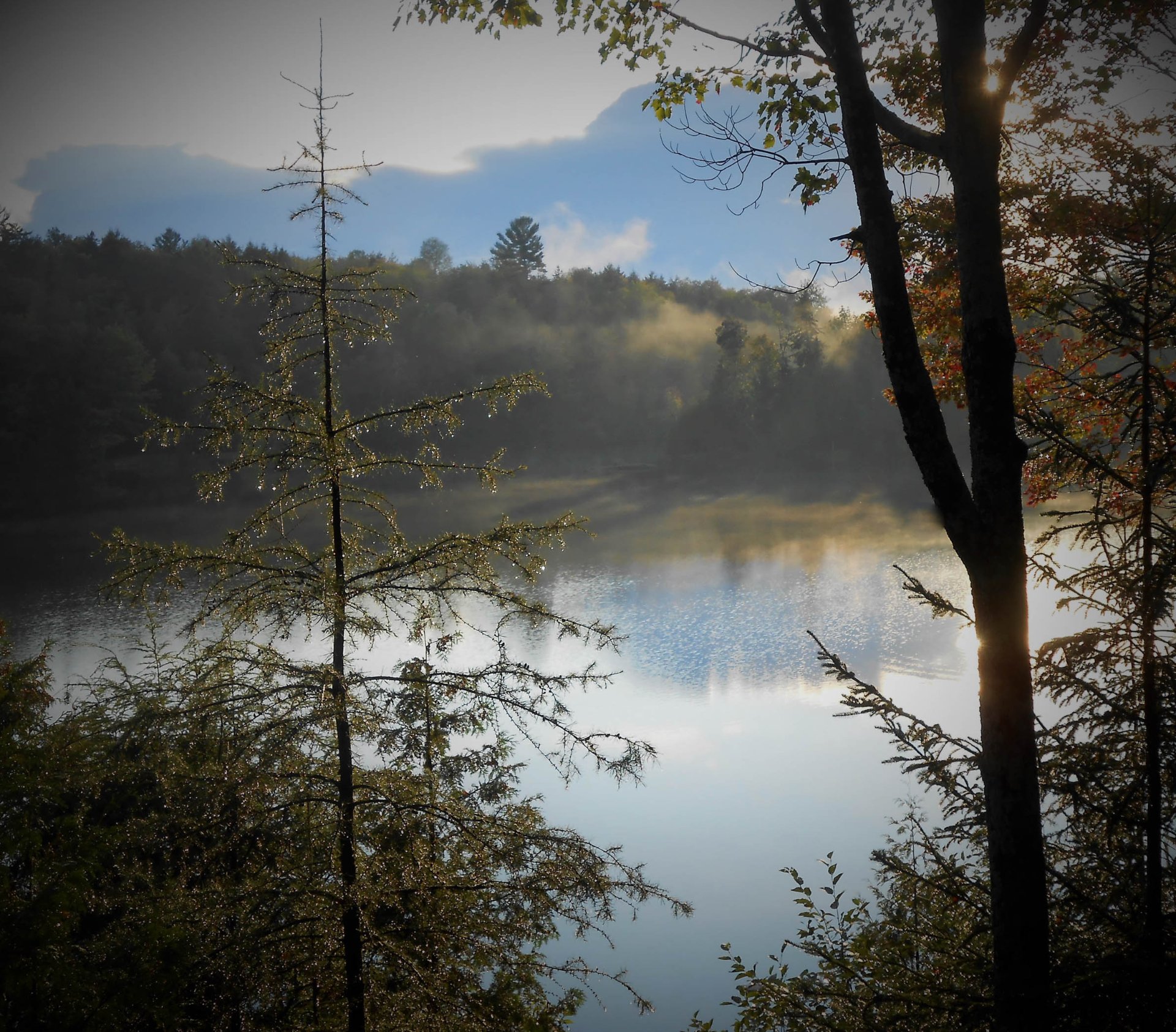 Water view