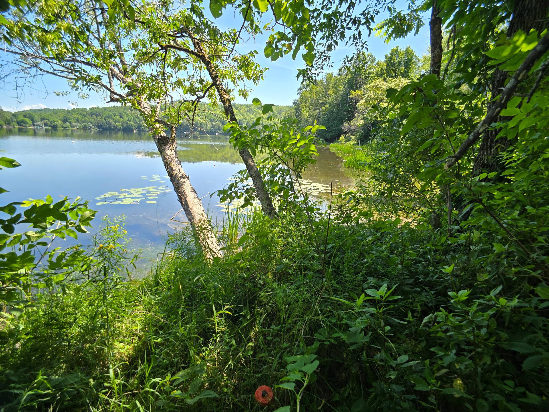 Bord de l'eau