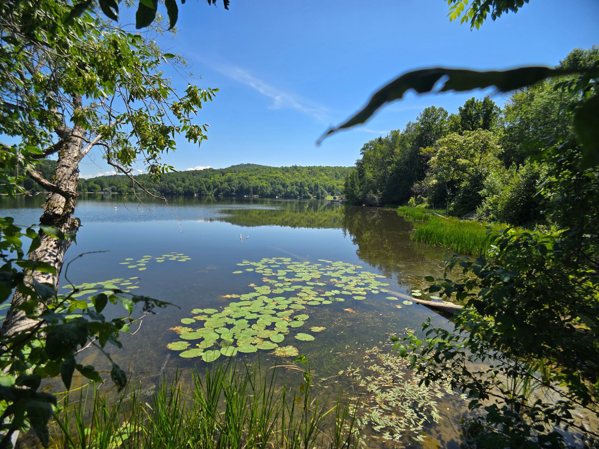 Vue sur l'eau