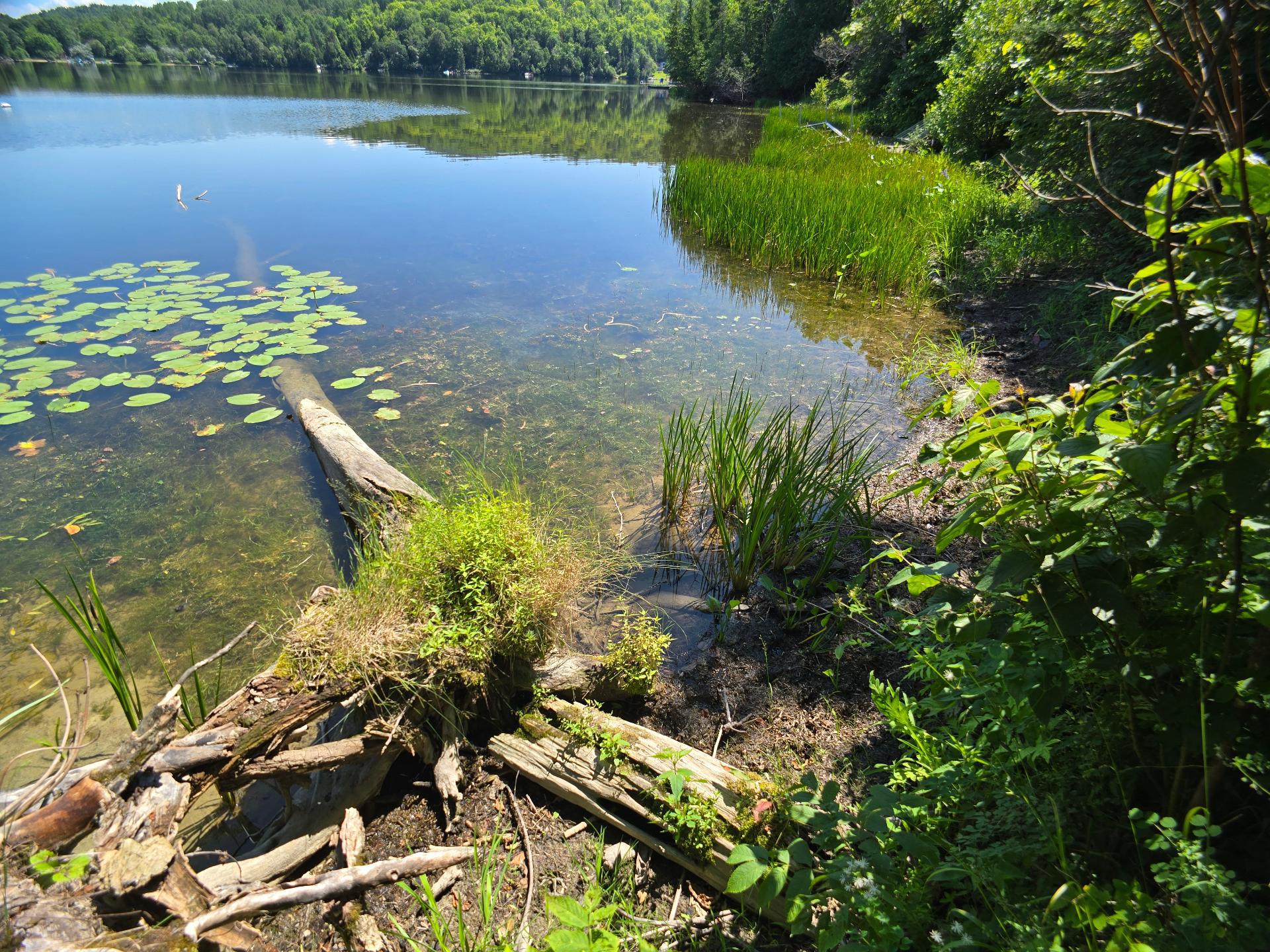 Bord de l'eau
