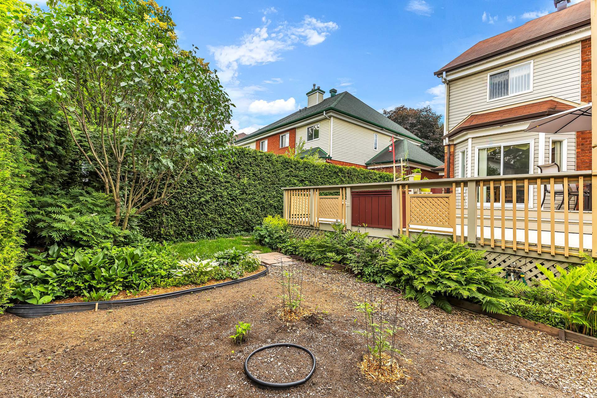 Backyard