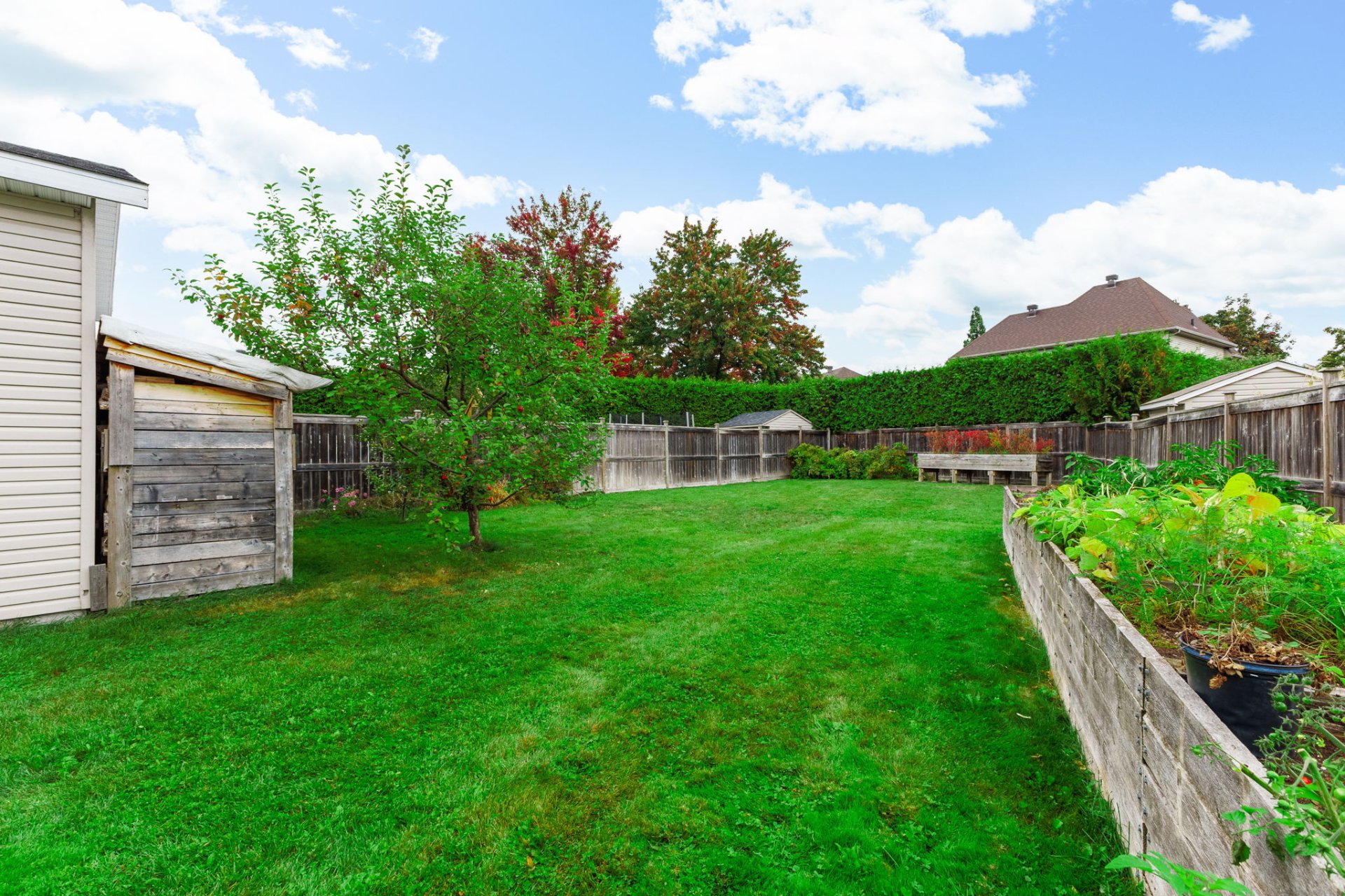 Backyard