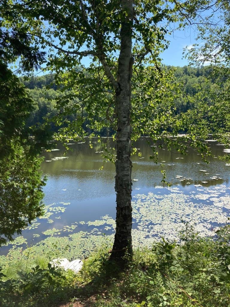 Land/Lot