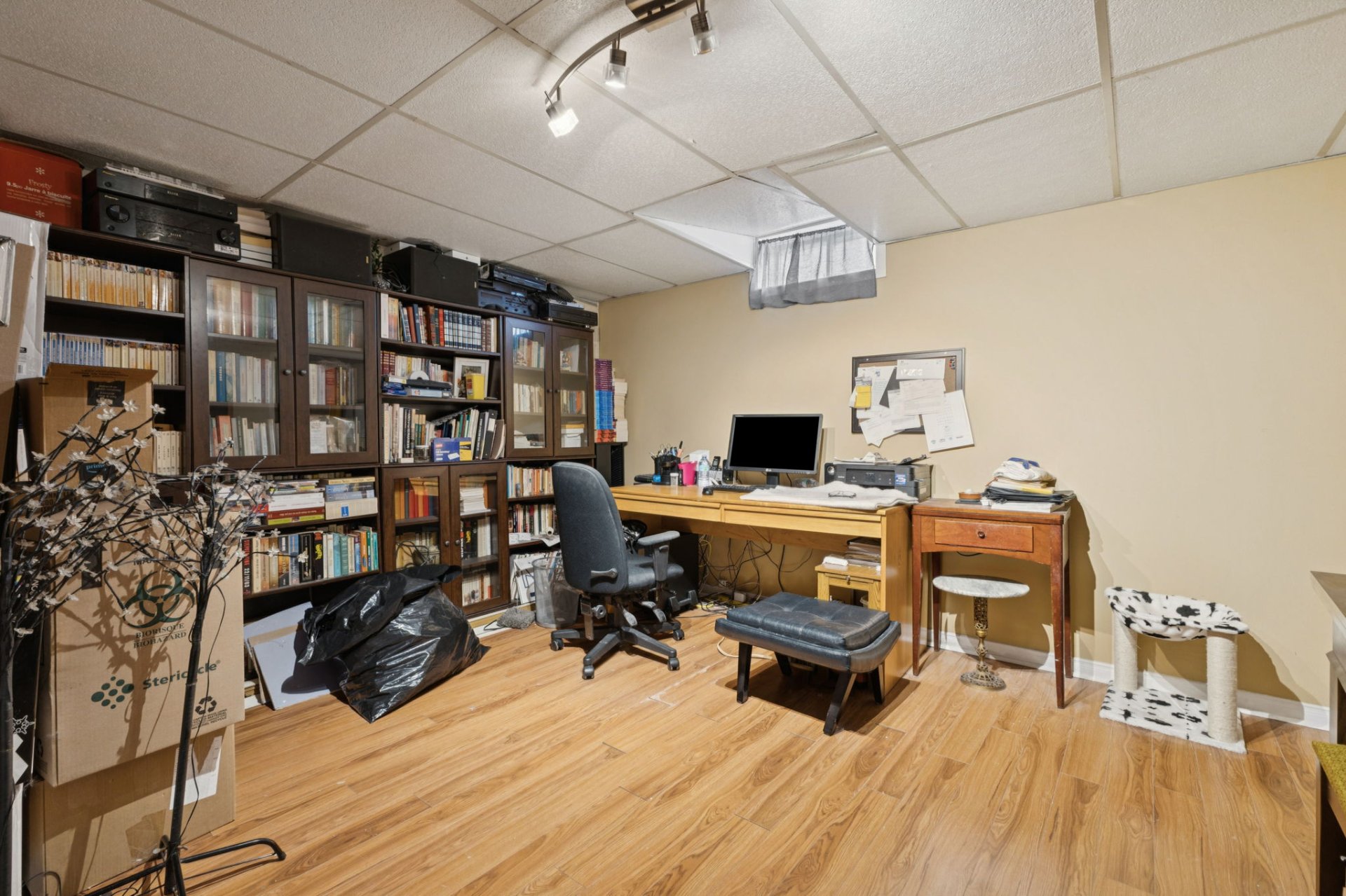 Sous-sol - Logement B