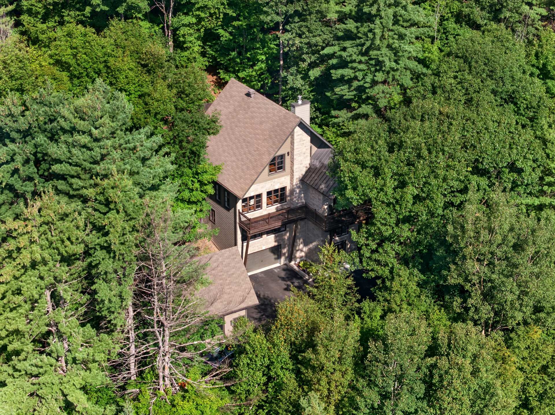 Overall view