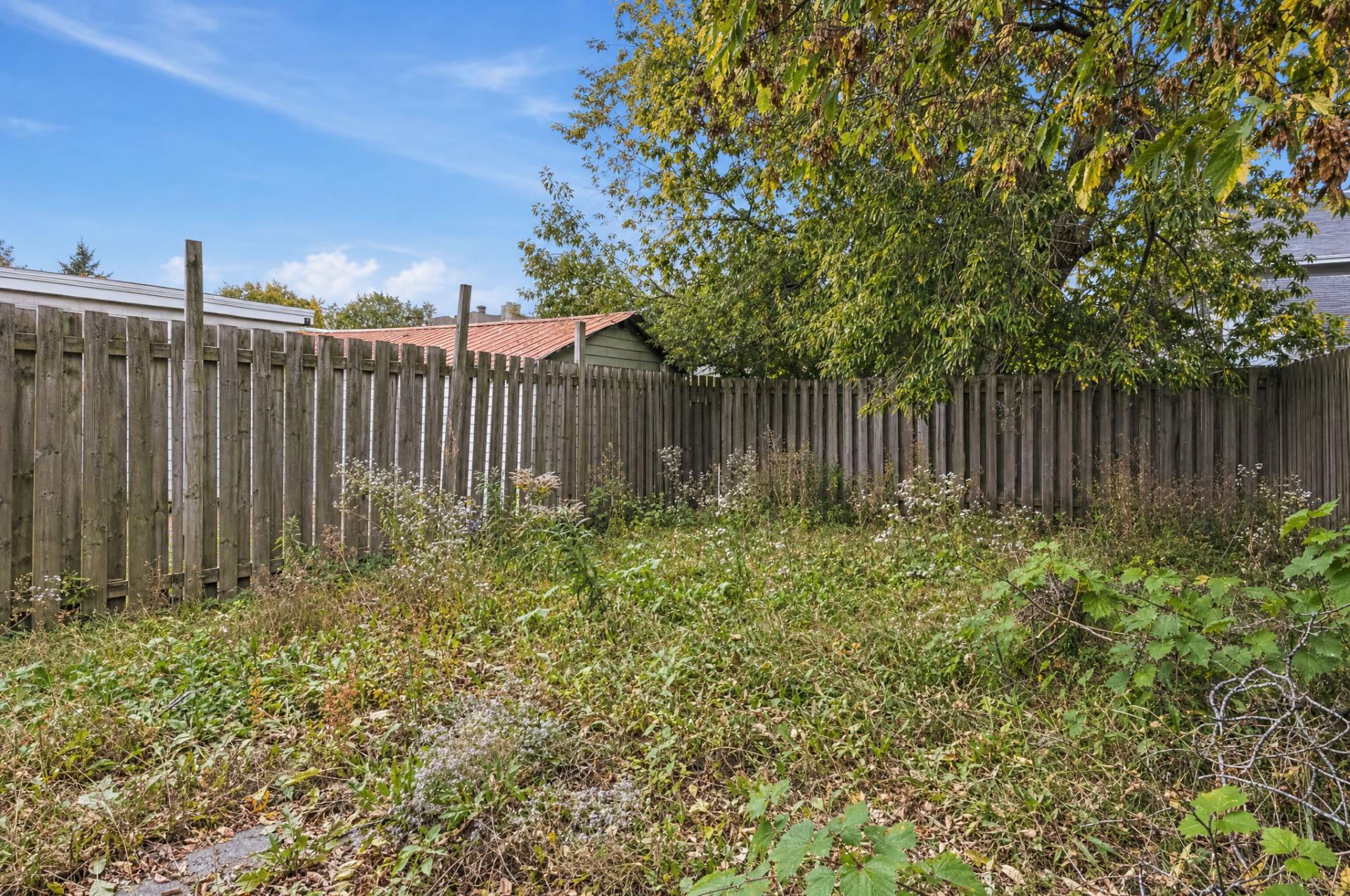 Backyard