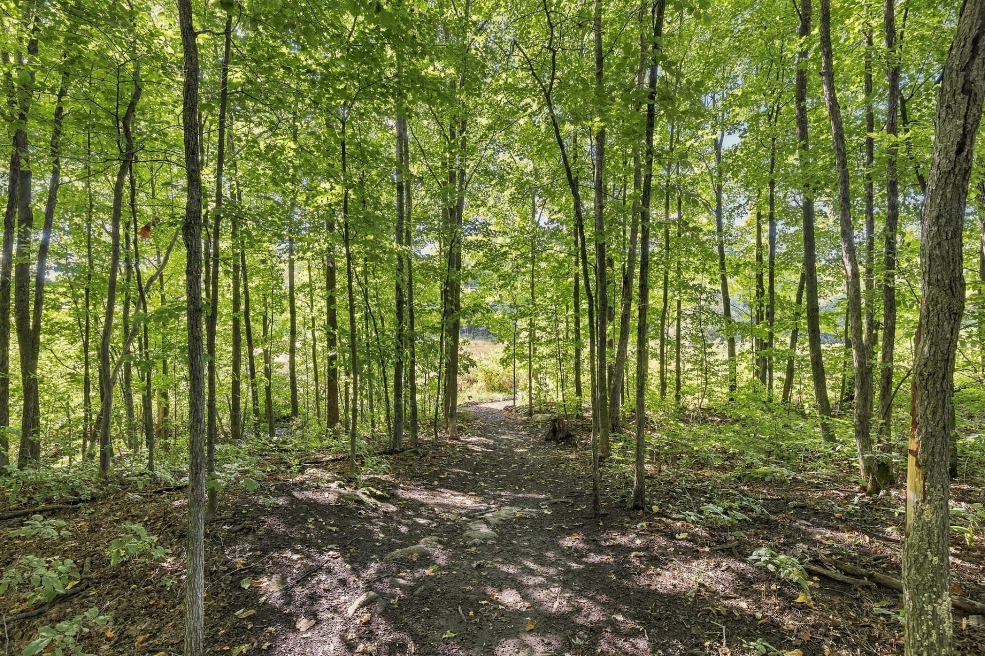 Neighborhood walking trails