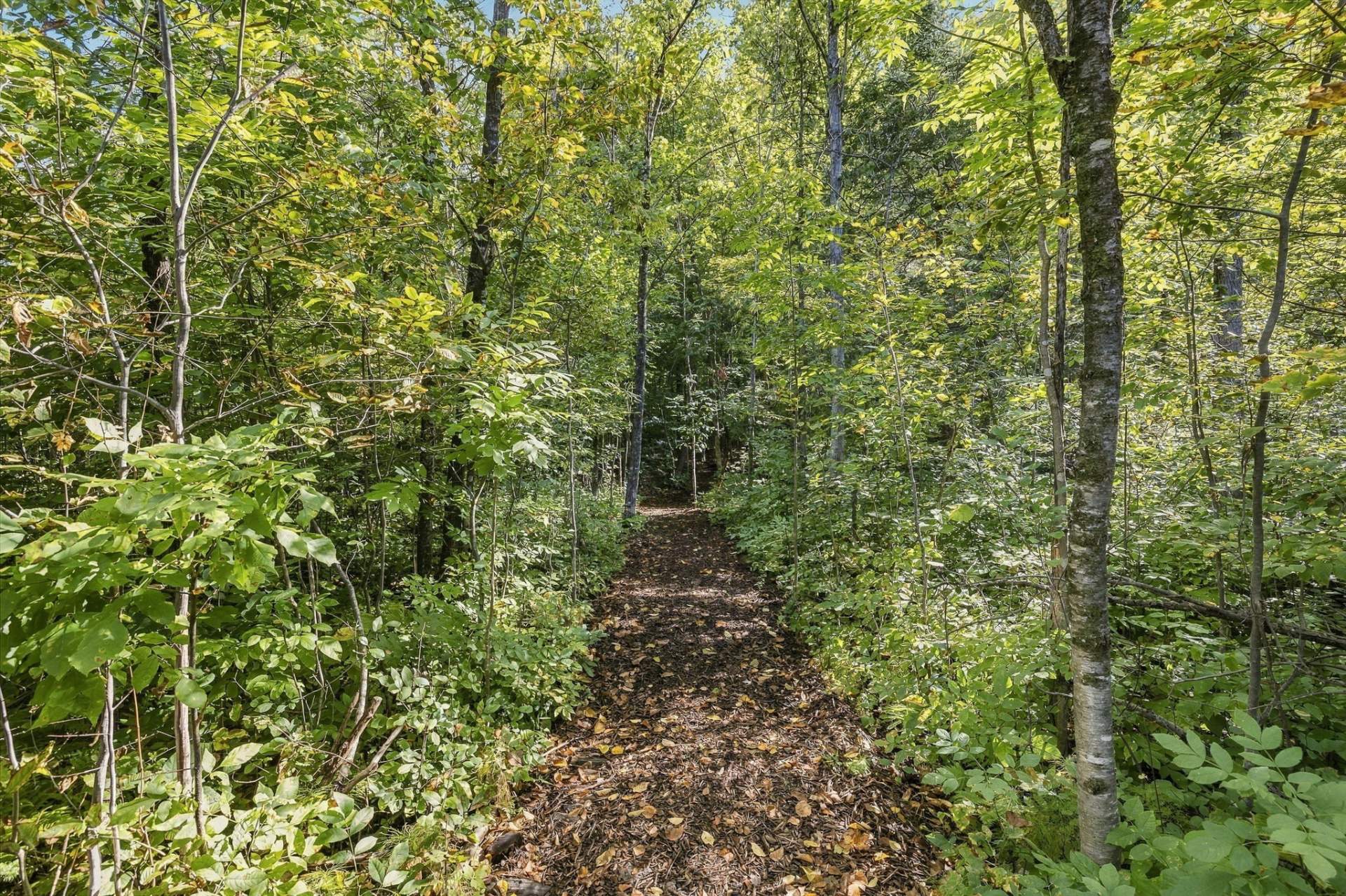 Neighborhood walking trails