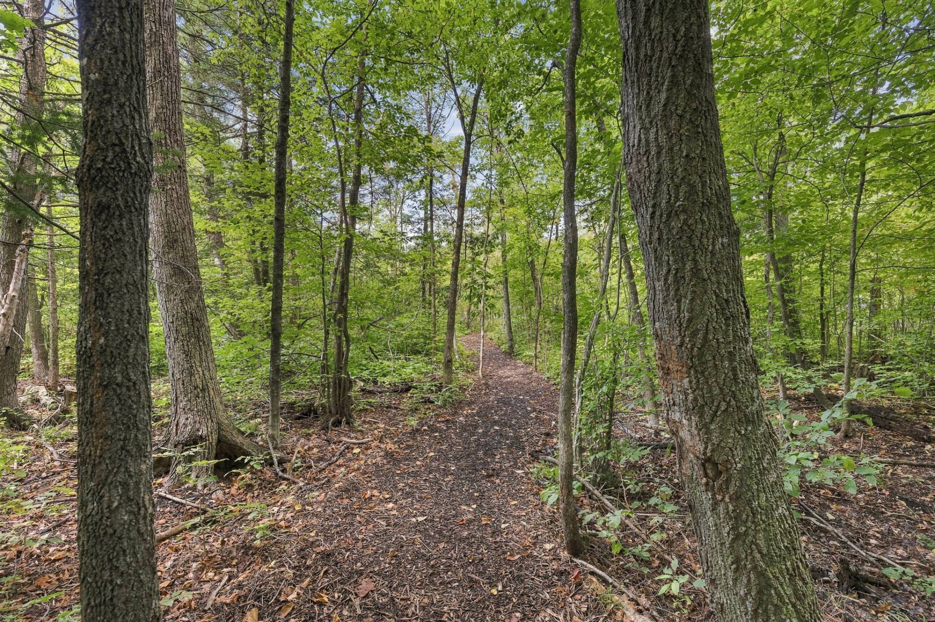 Neighborhood walking trails