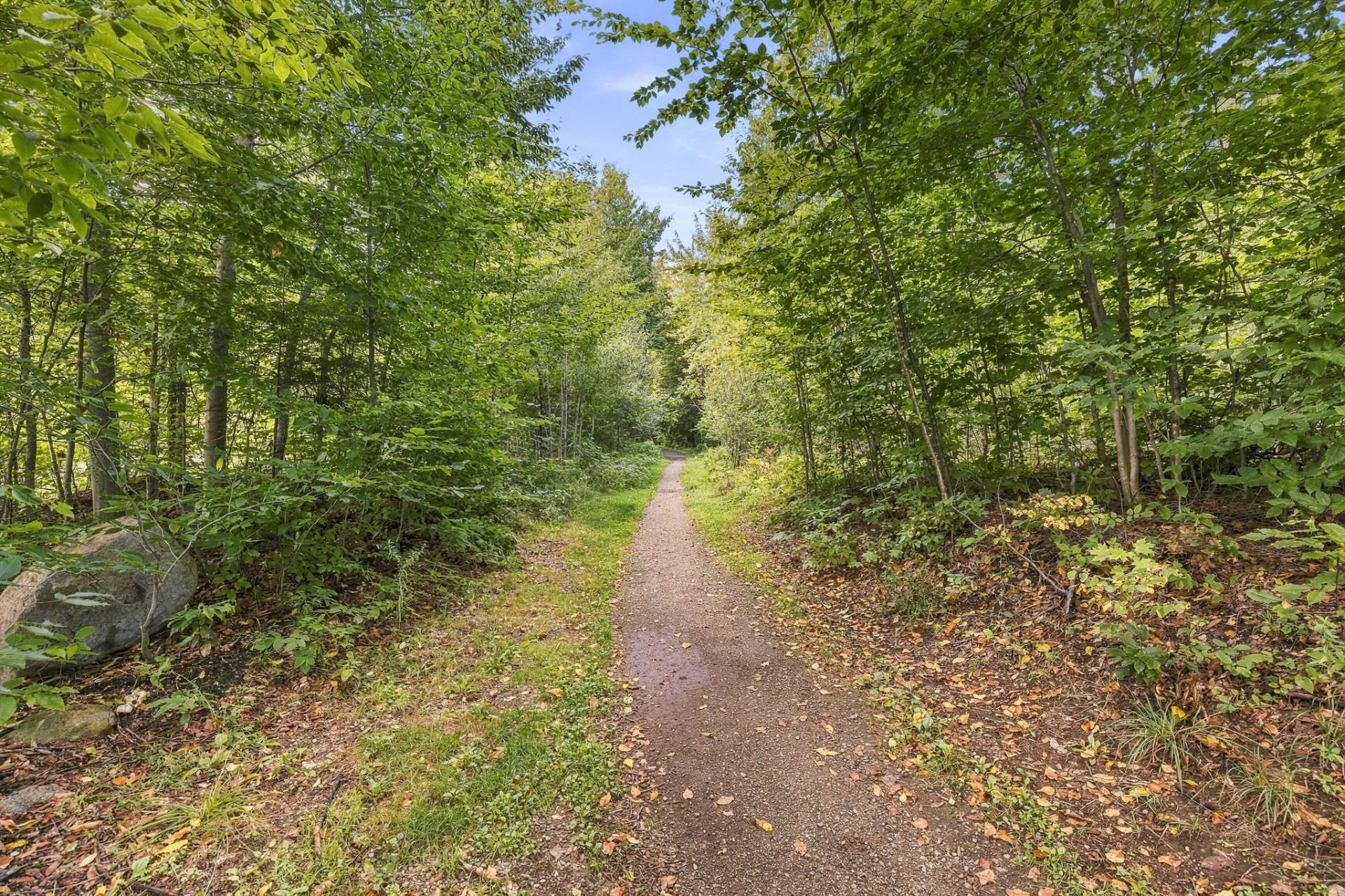 Neighborhood walking trails