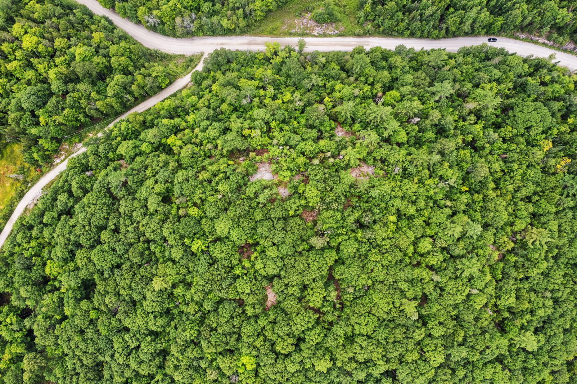 Terre/Terrain