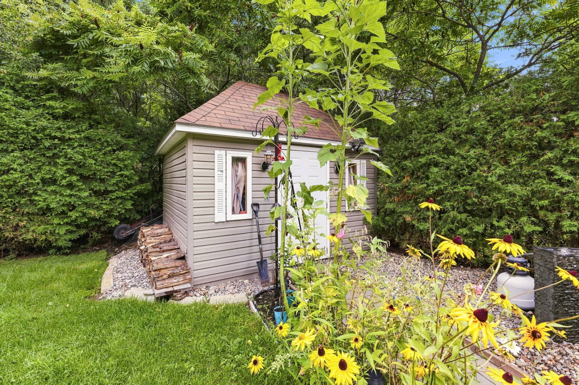 Shed