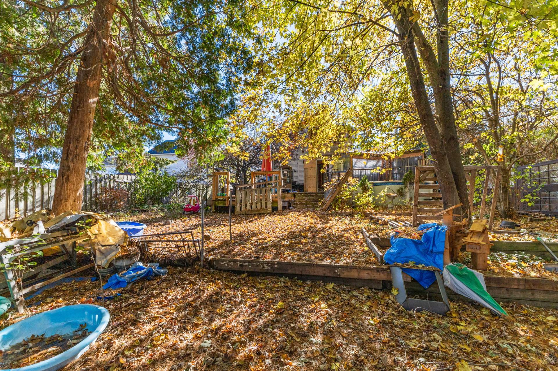 Backyard