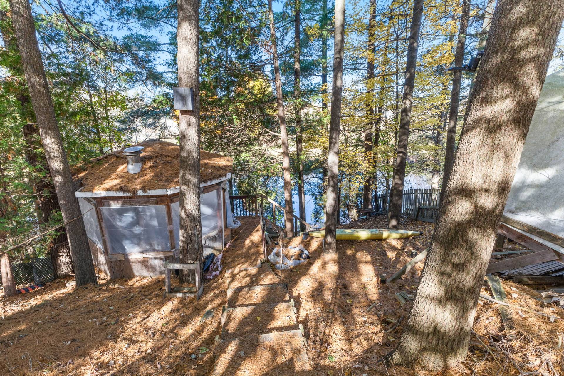 Backyard