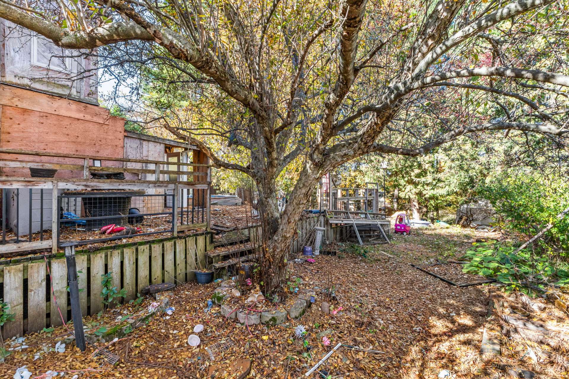 Backyard