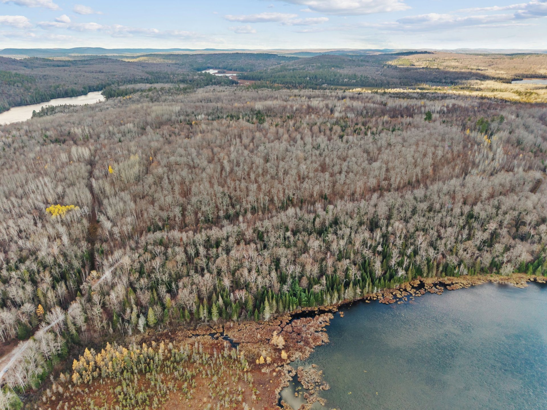Aerial photo
