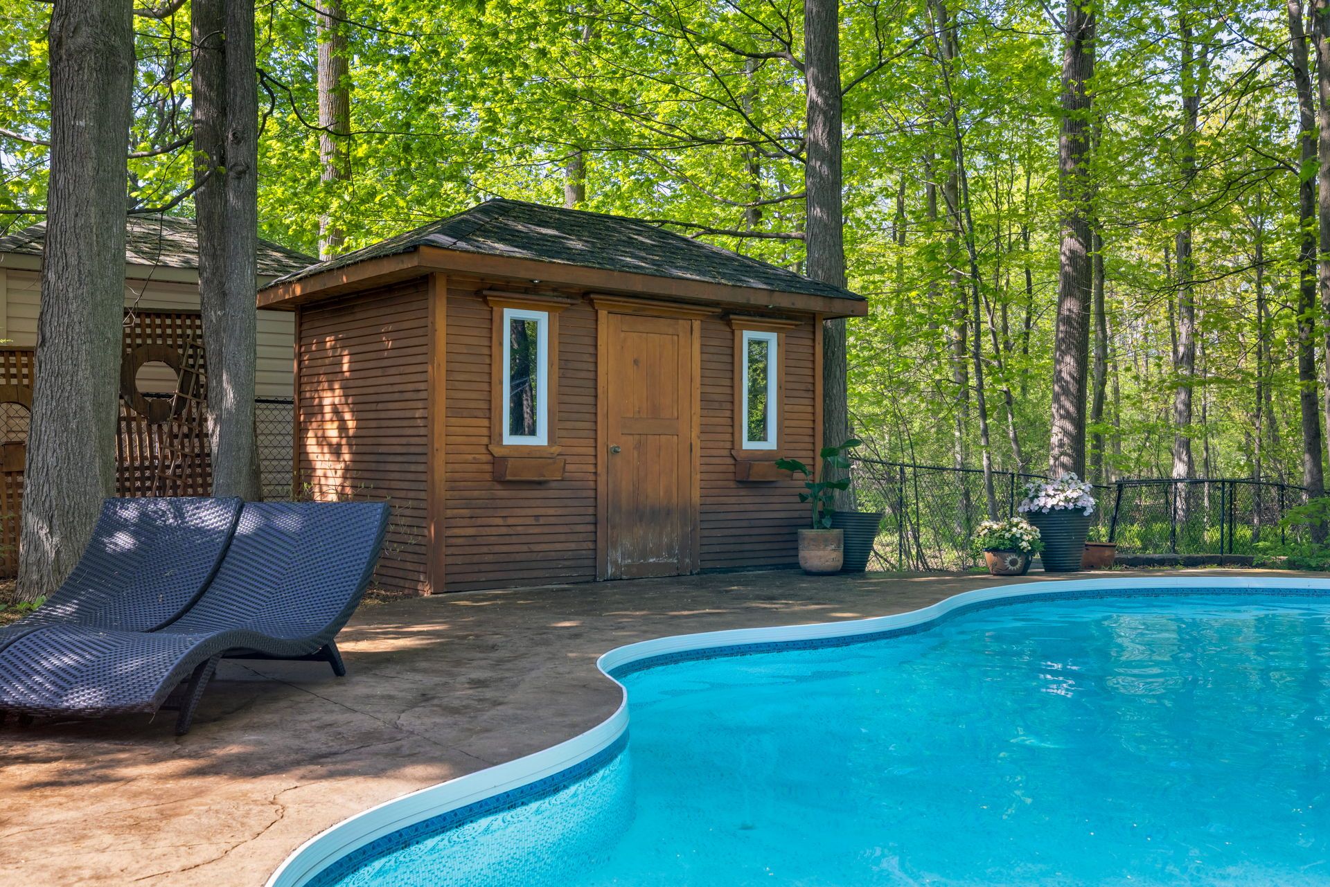 Shed