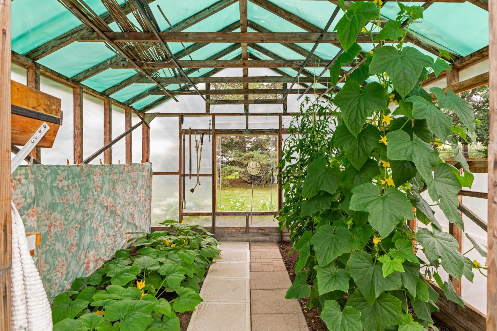 Greenhouse