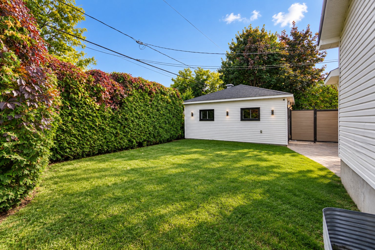 Backyard