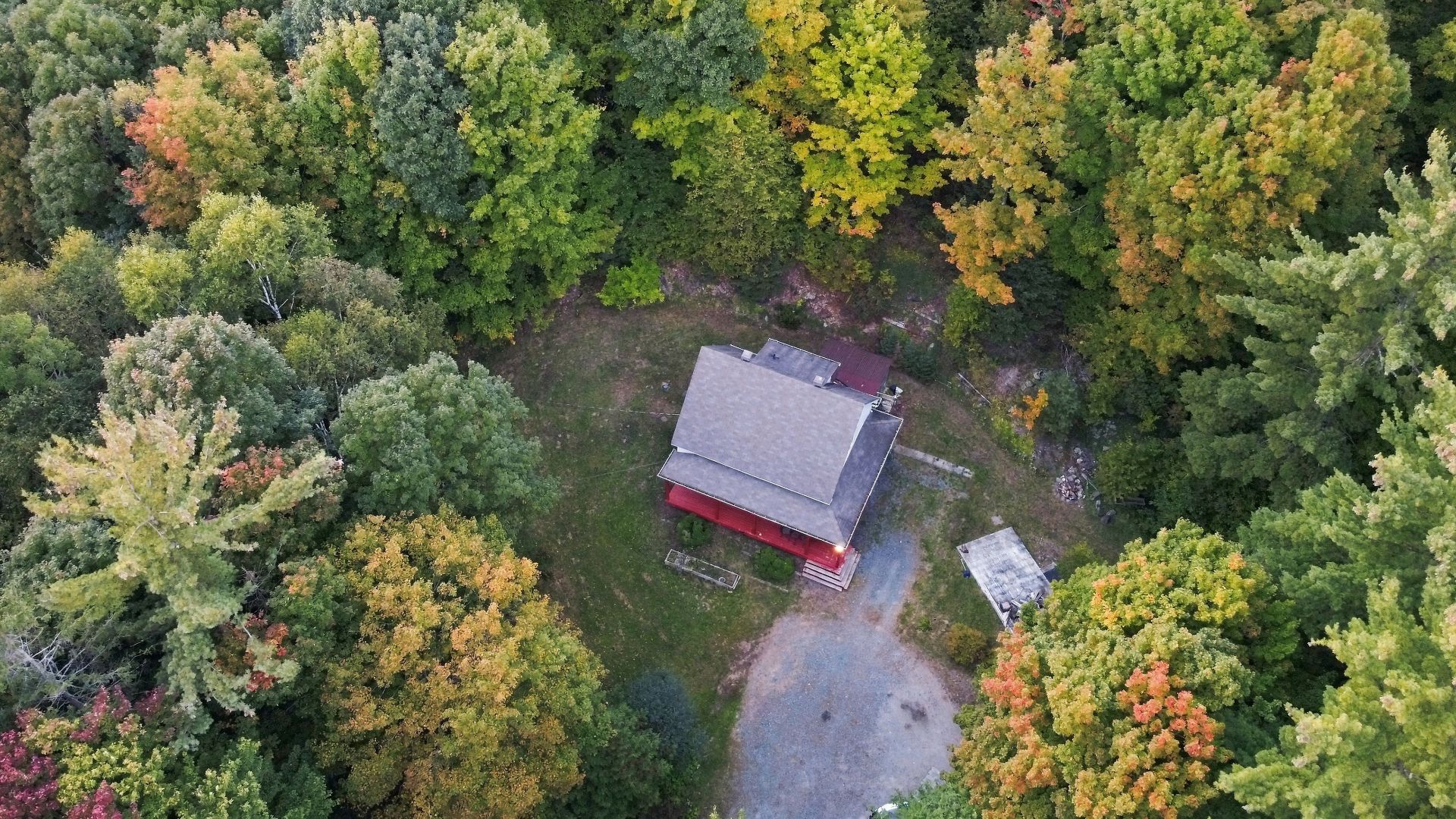 Overall view
