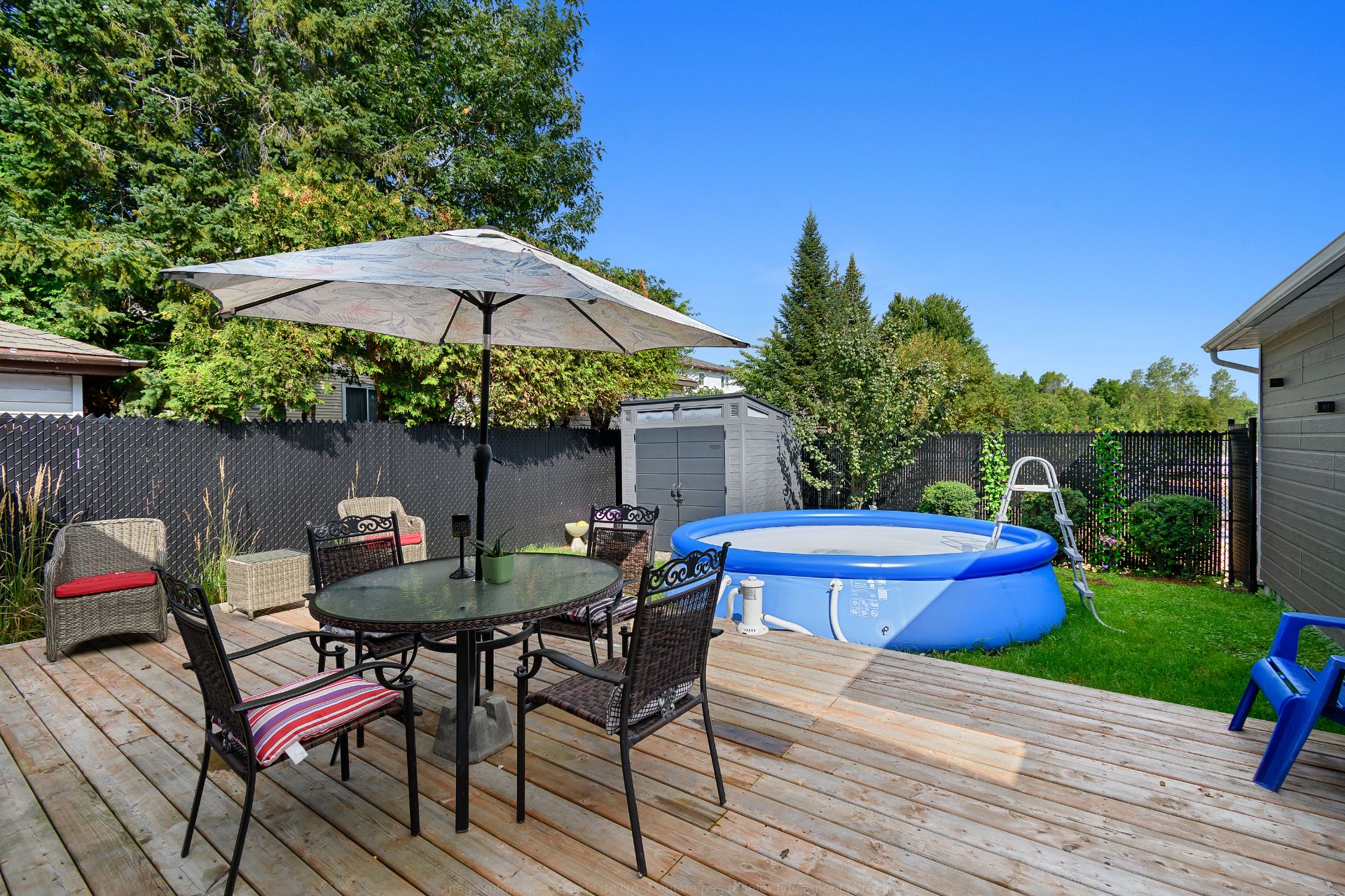 Backyard
