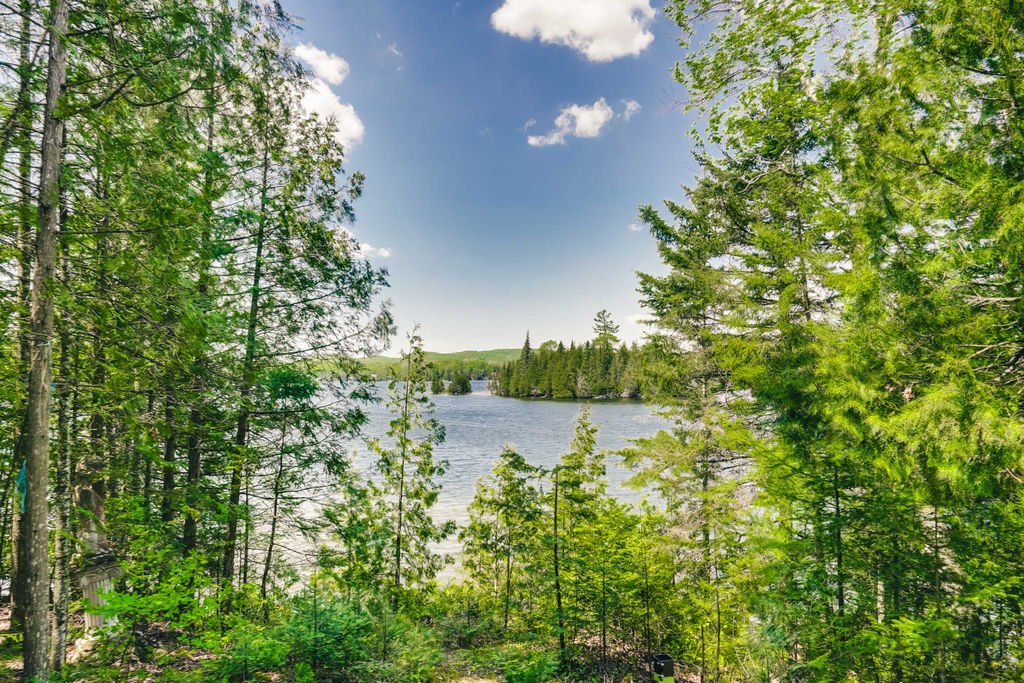 Water view
