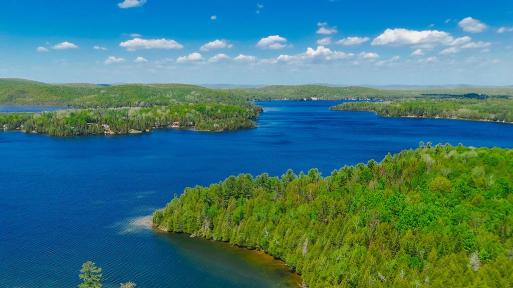 Aerial photo