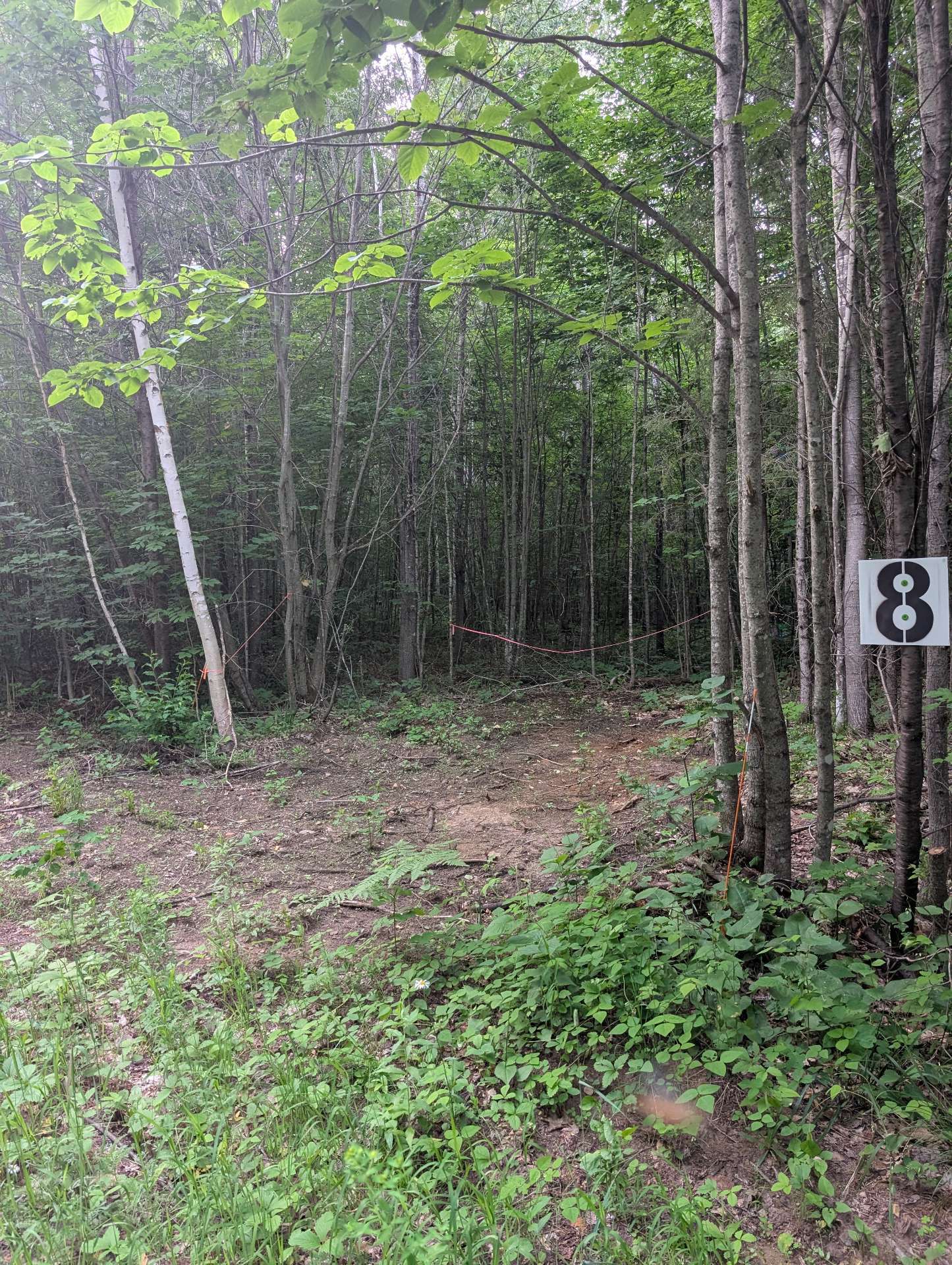 Land/Lot