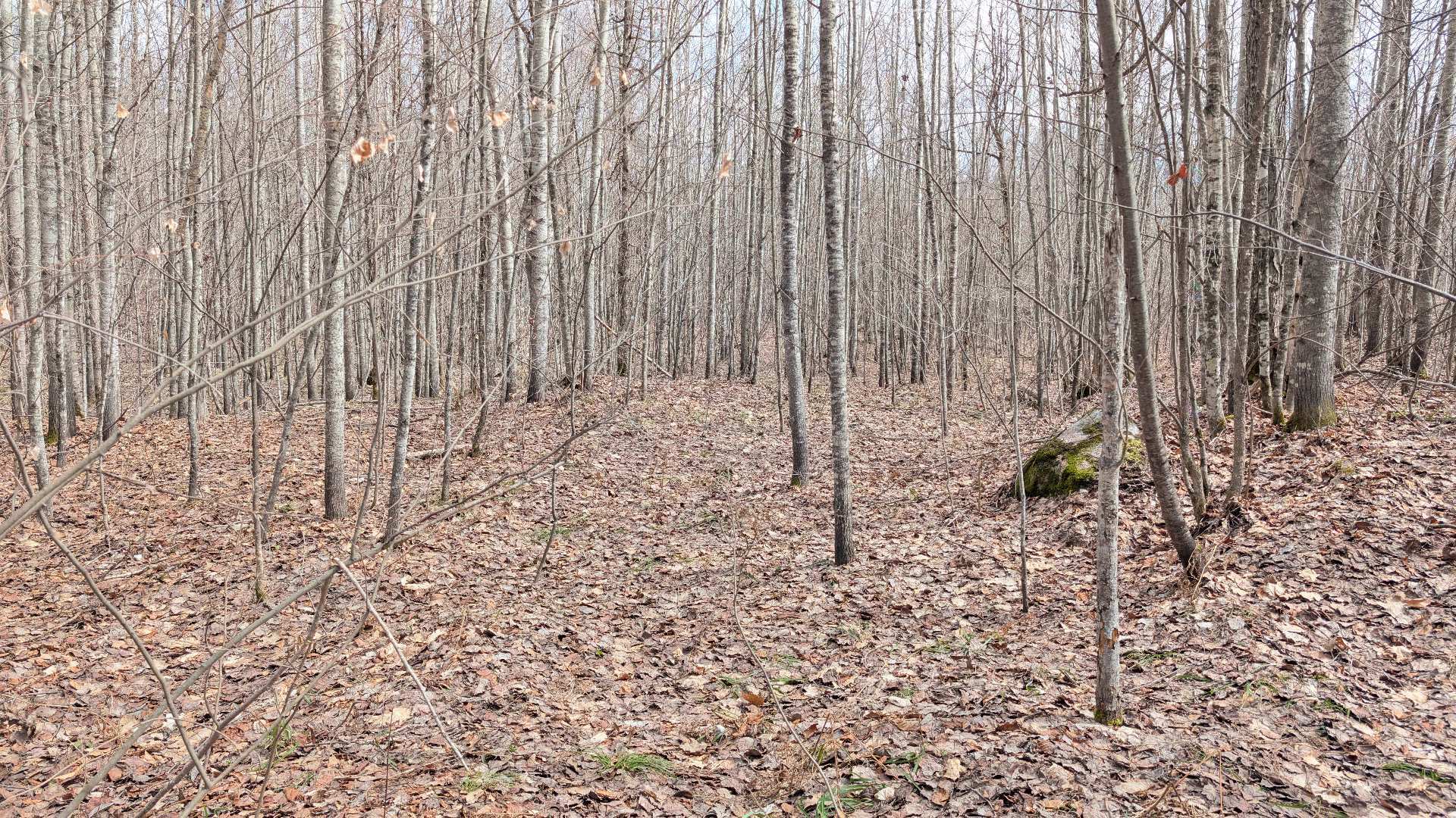 Land/Lot
