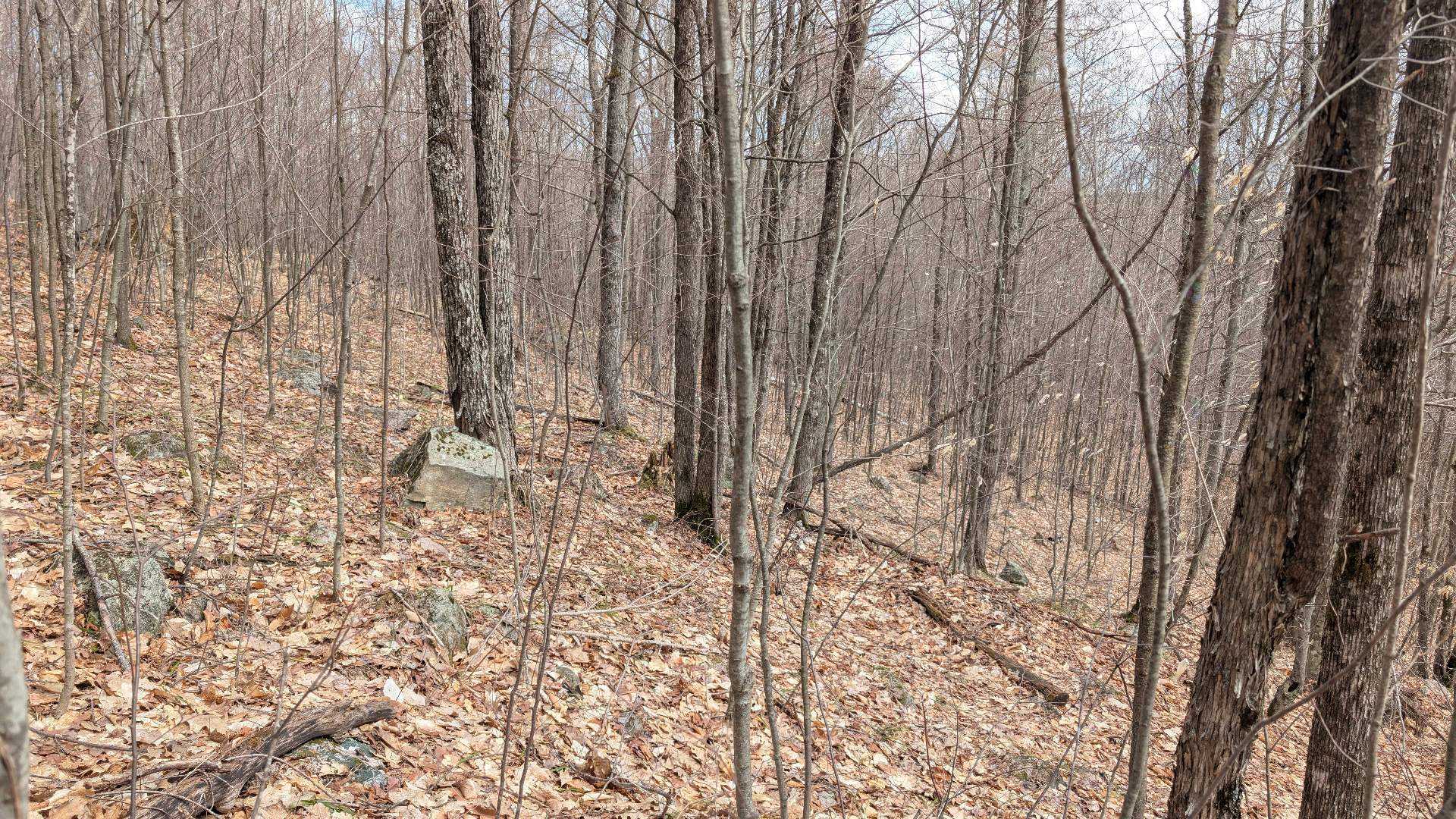 Land/Lot